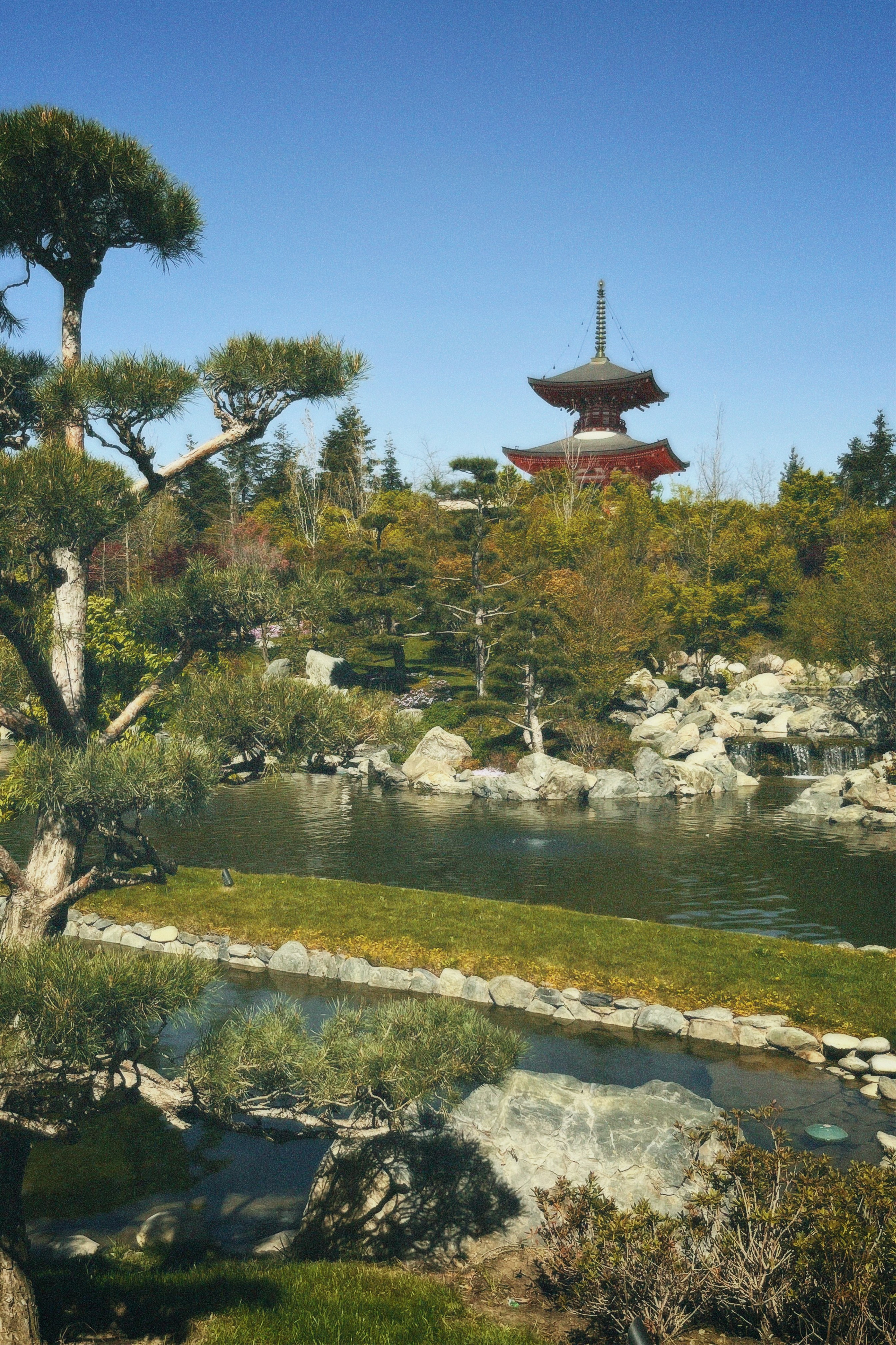 КРАСНОДАР. Портретный и лавстори фотограф в Стерлитамаке Альбина Шарт