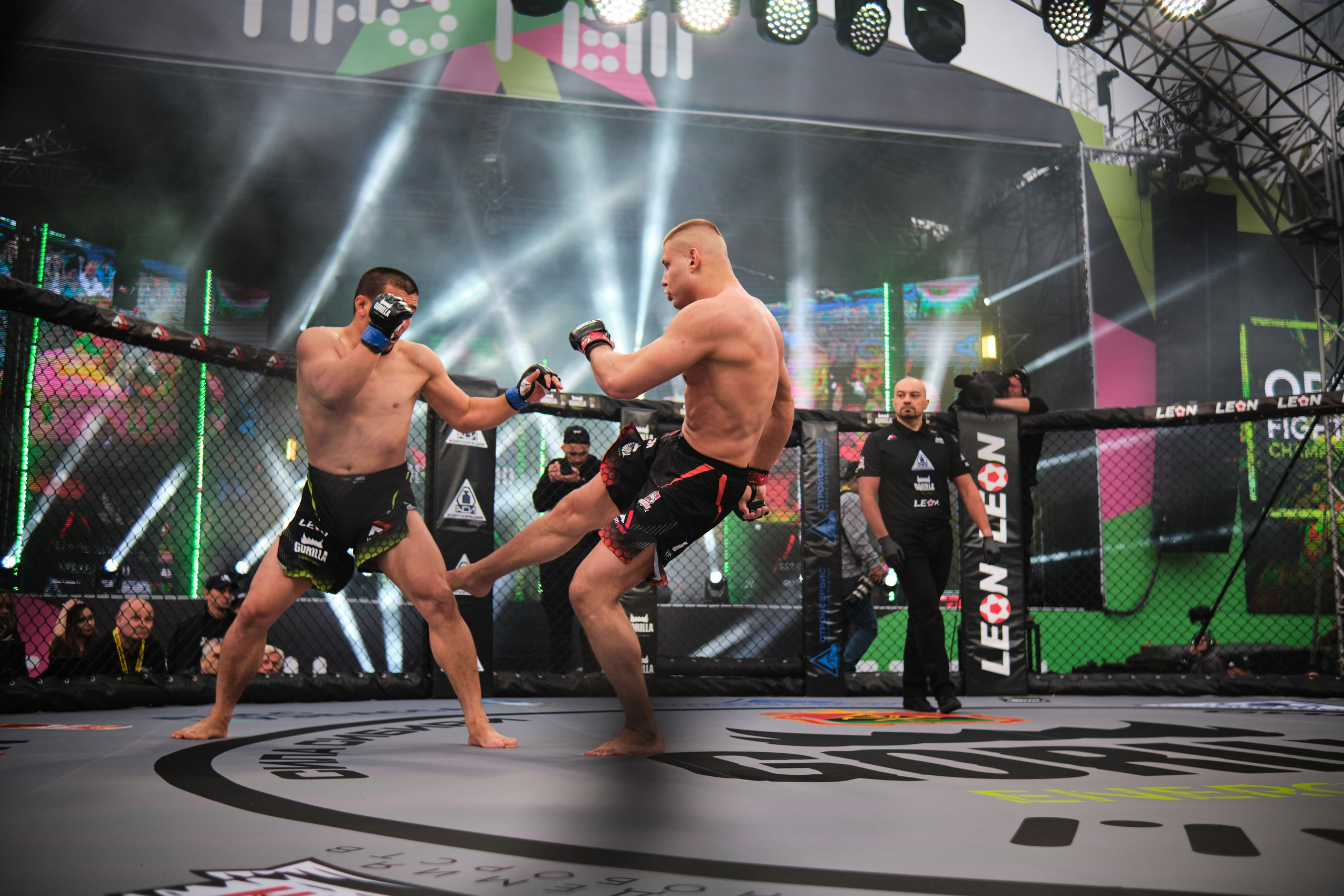 ММА на ПРО ГЕШ. Свадебный и семейный фотограф в Новокузнецке Иван Иванов