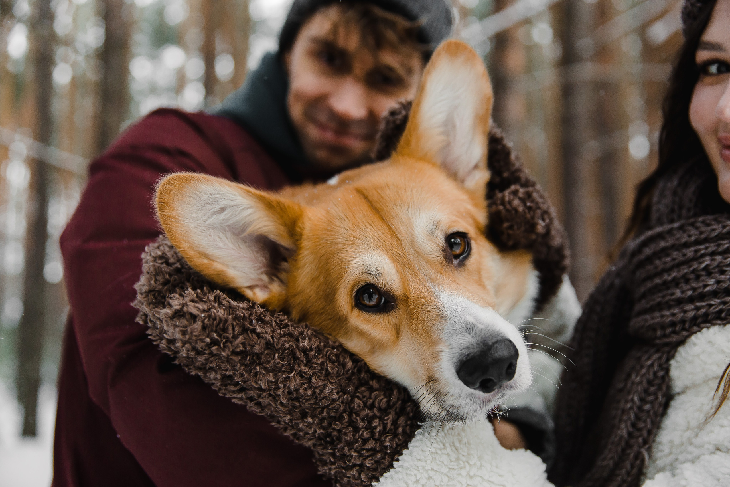 Дима и Даша. Свадебный и семейный фотограф в Томске Алексей