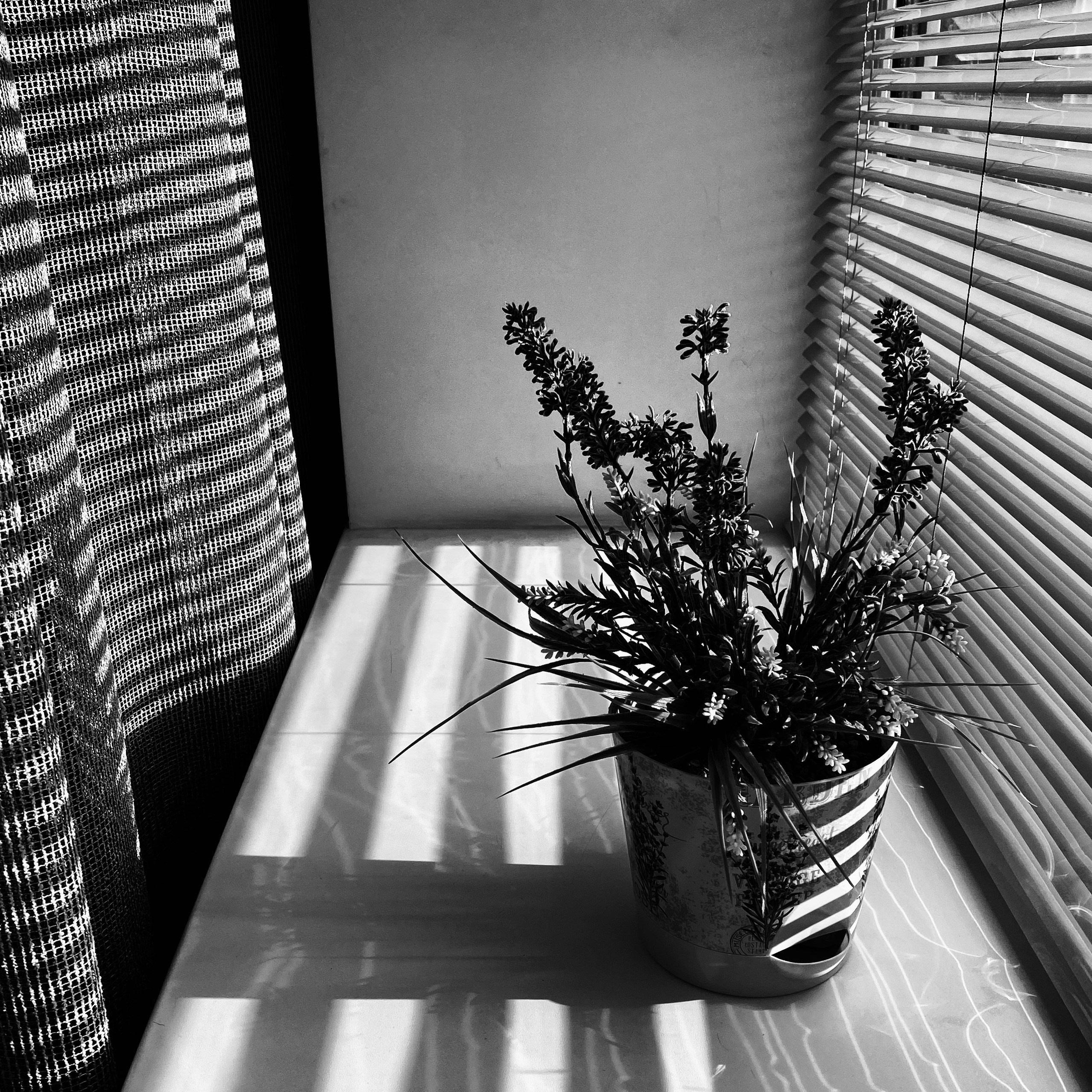 Работы с телефона. Свадебный фотограф в Москве Сафонова Анна