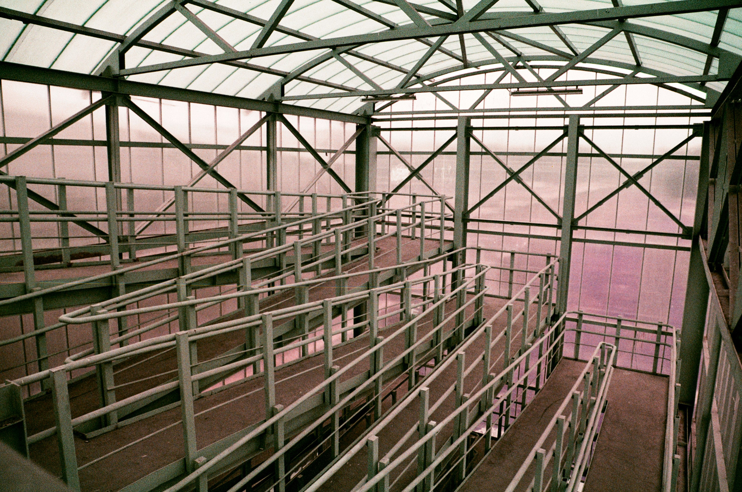 Lomochrome Purple. Варвара Цымбал