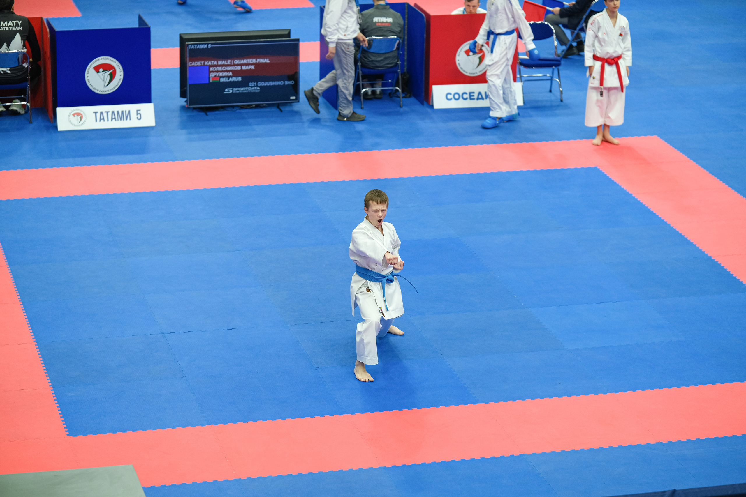 Международный турнир по карате «Belarus Open». Https://www.instagram.com/paparrazzio