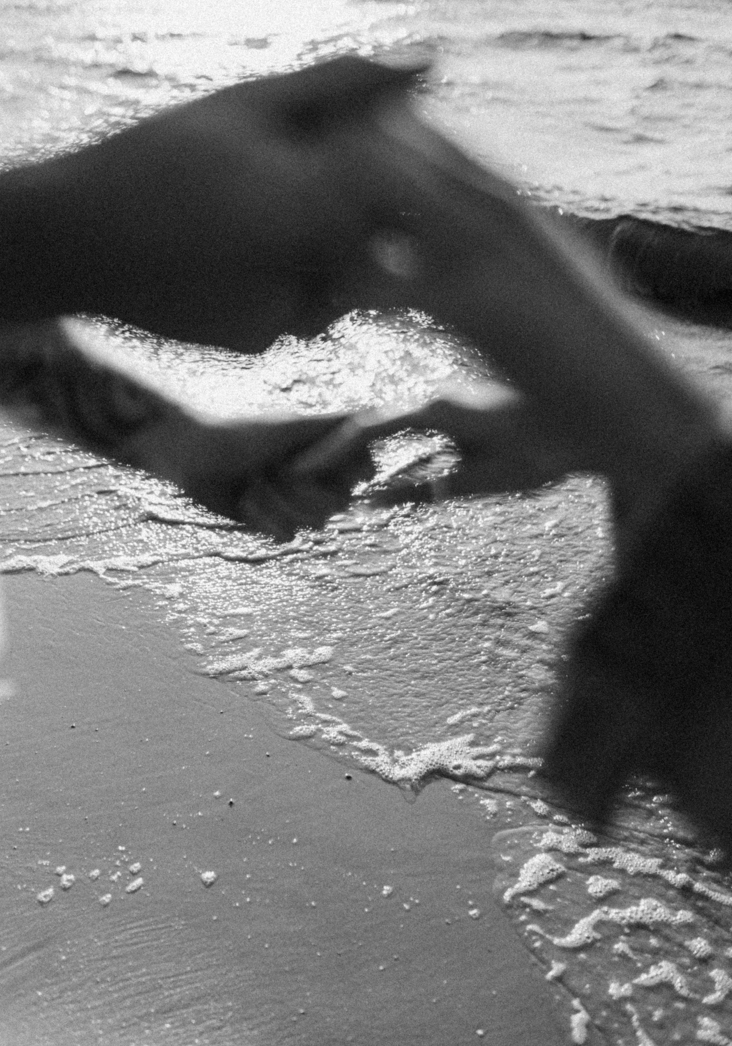 Фотограф Ростов Москва | обучение фотографии