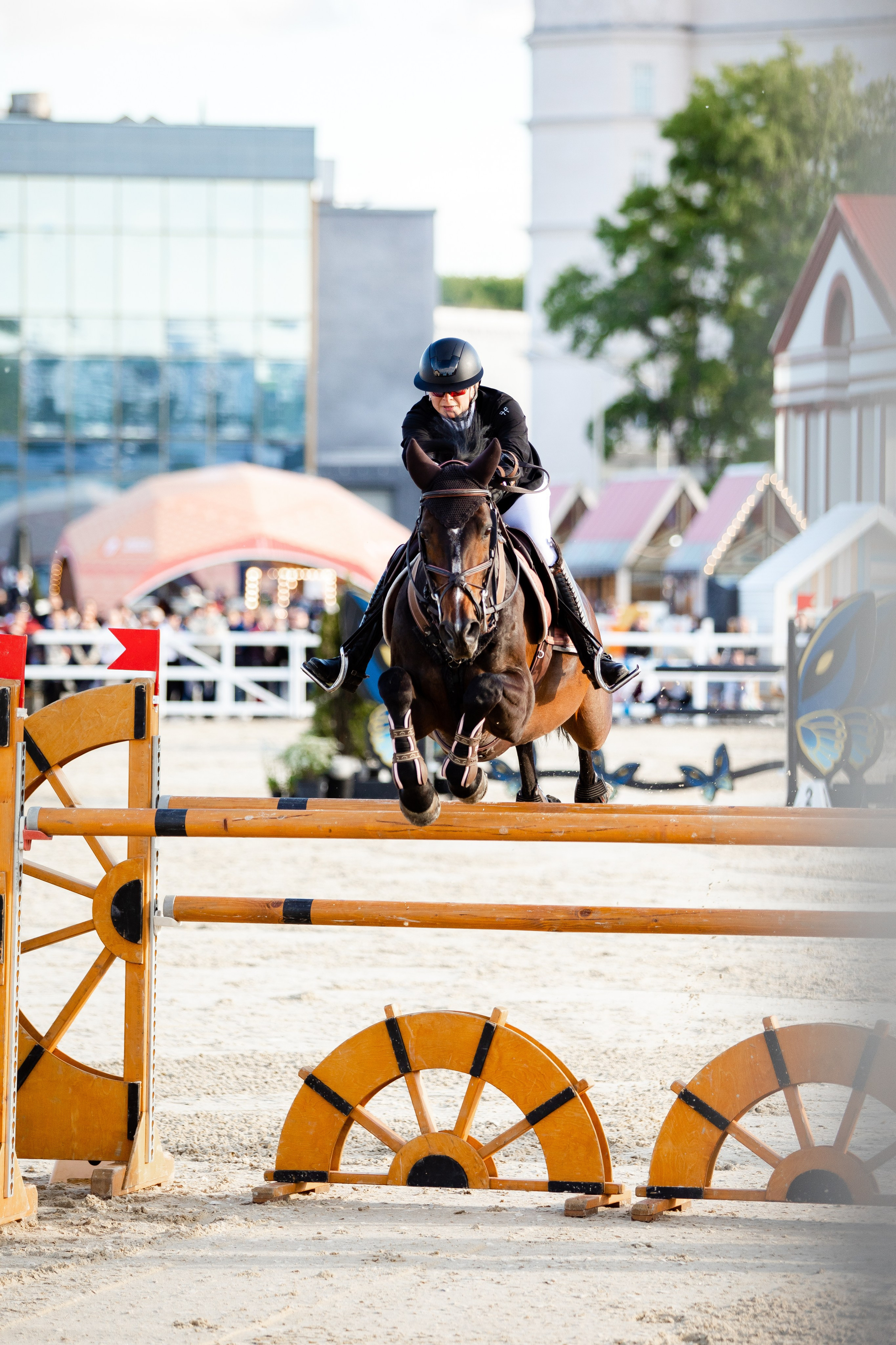 Турниры. Veronika Makeeva horse photo