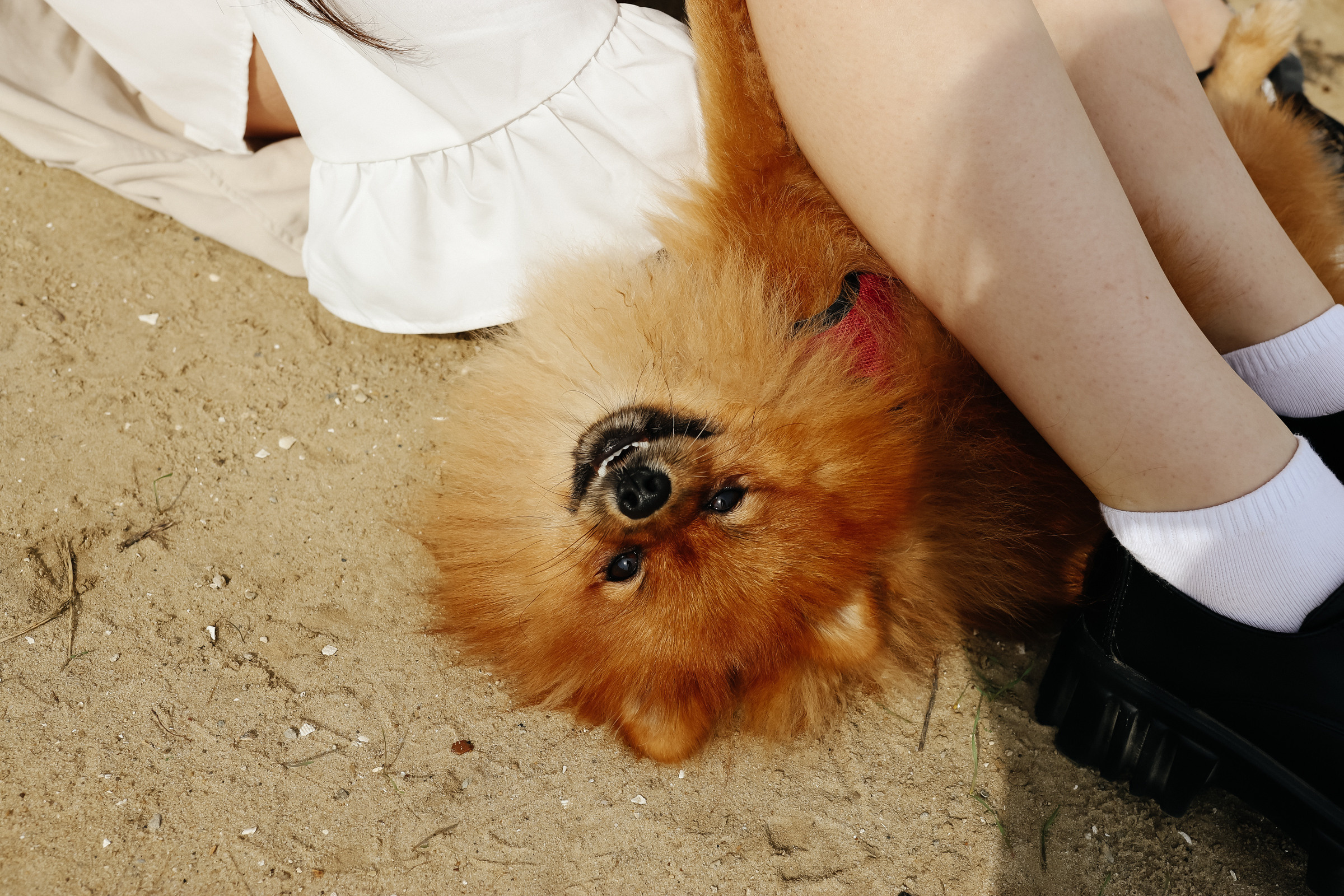 K&B. Фотограф Сочи