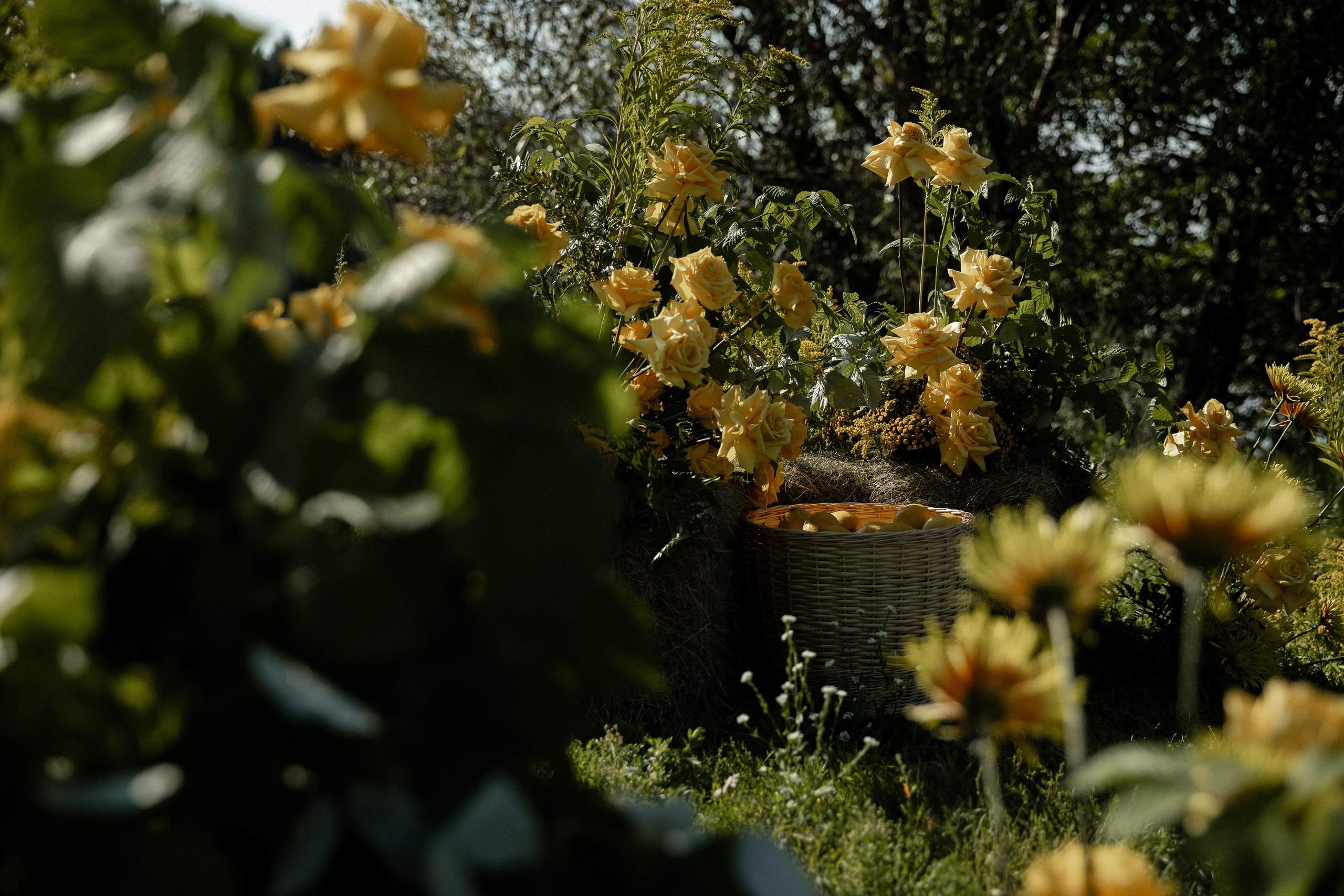 Кусочек Италии. Свадебный фотограф Ярославль, Рыбинск