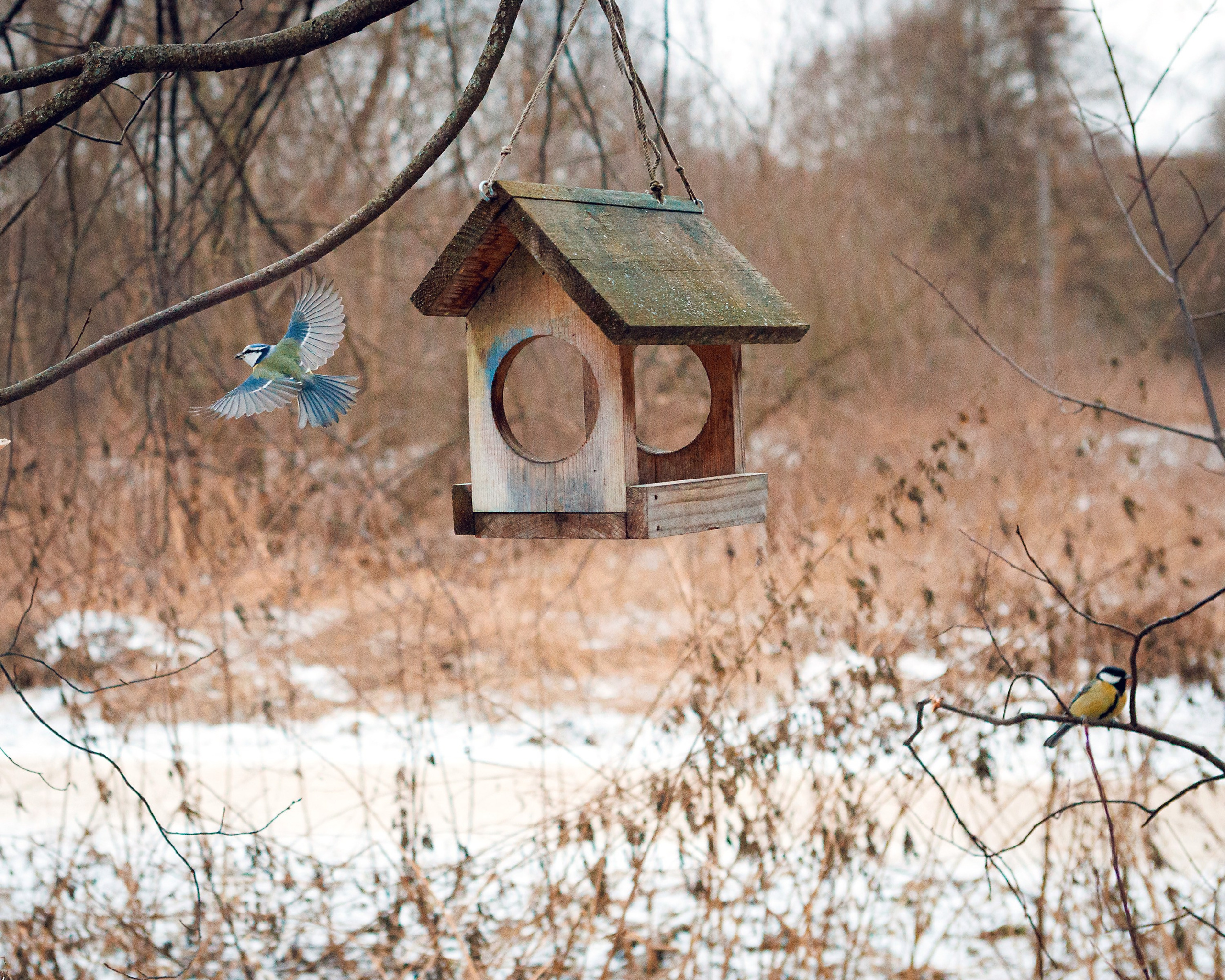 Travel. Индивидуальная и семейная съёмка. Москва, Наталья Самохвалова