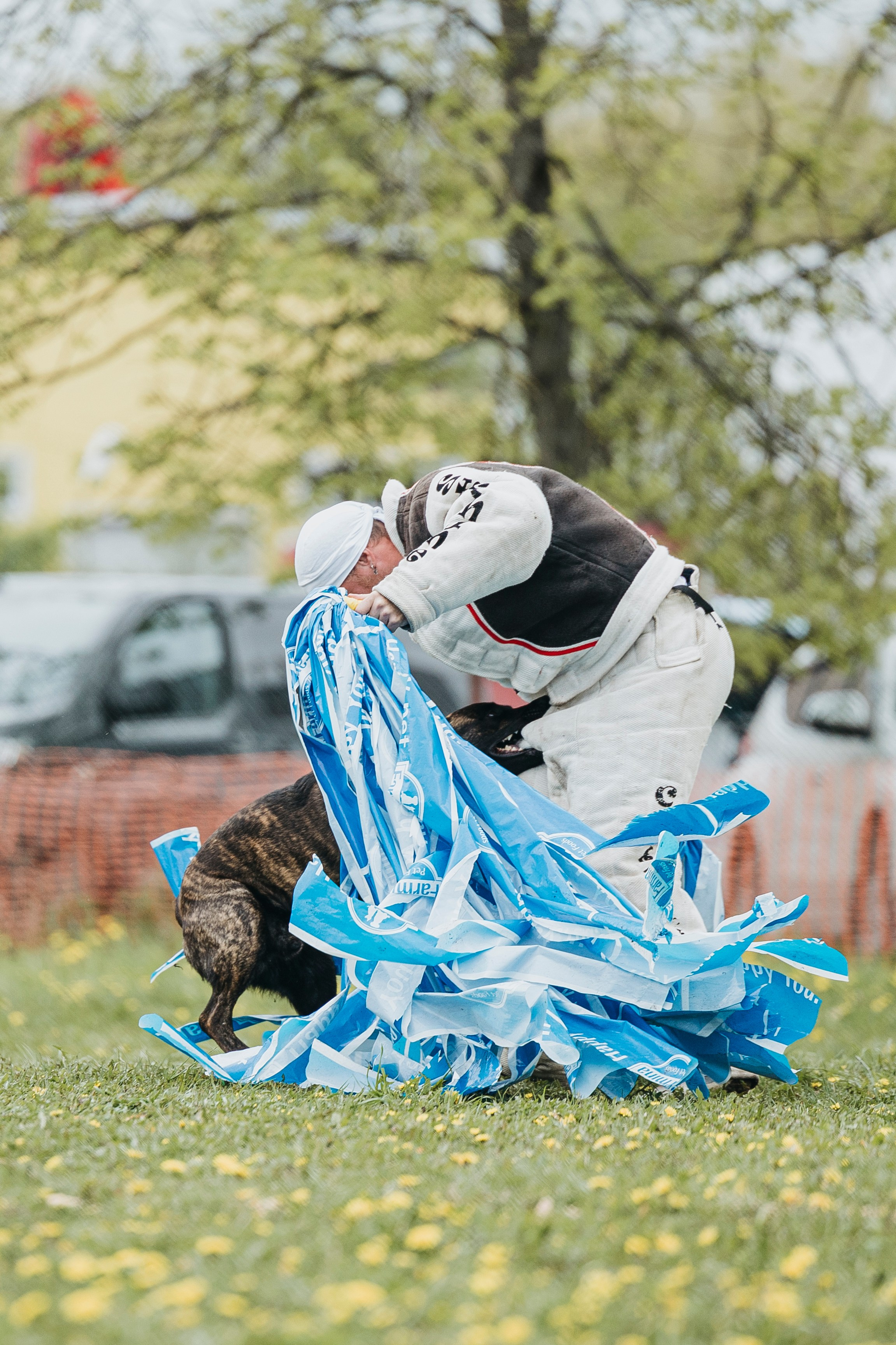 26.05.25 г. Пушкин квалификационные соревнования. Фотограф-анималист Анна Маринич