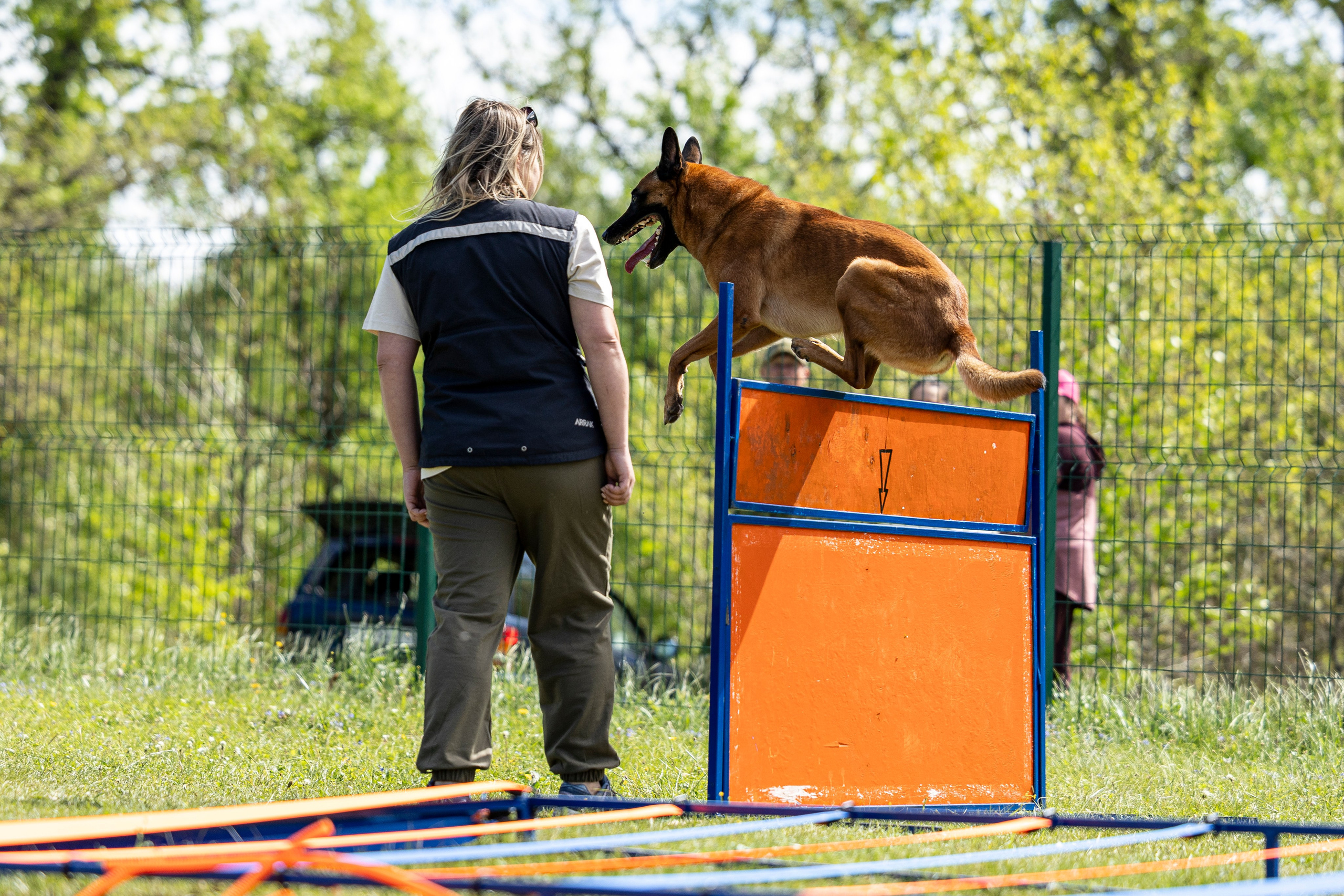 Испытания по мондьорингу в Нижнем Новгороде. Фотограф-анималист Анна Маринич