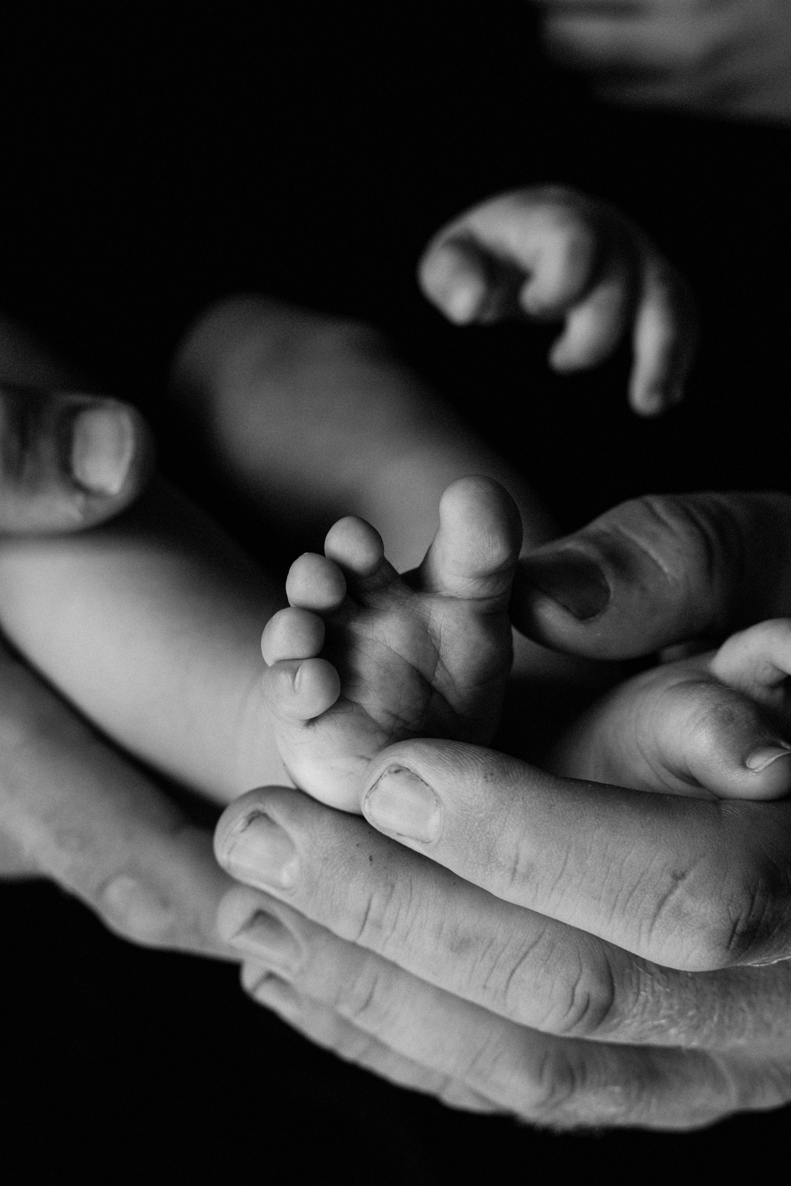 Семейная съёмка Андрей и Елена. Фотограф/видеограф в Санкт-Петербурге Динара Гольдина