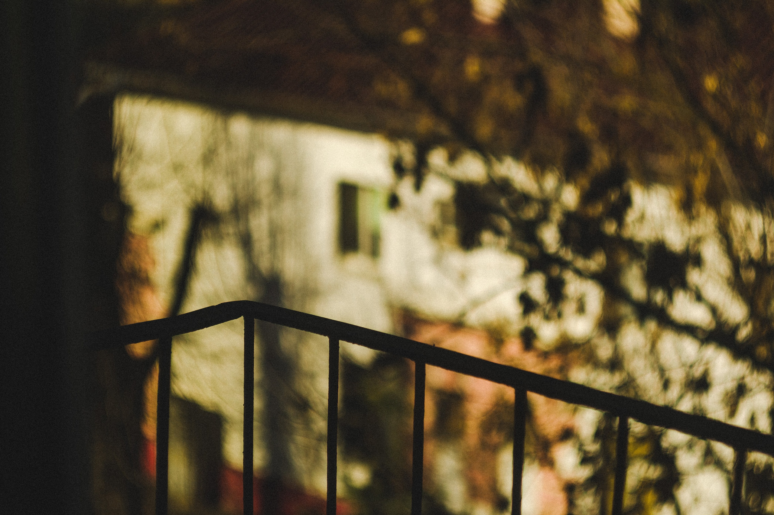 Favorite place. Den Mirov — Photographer, Musician