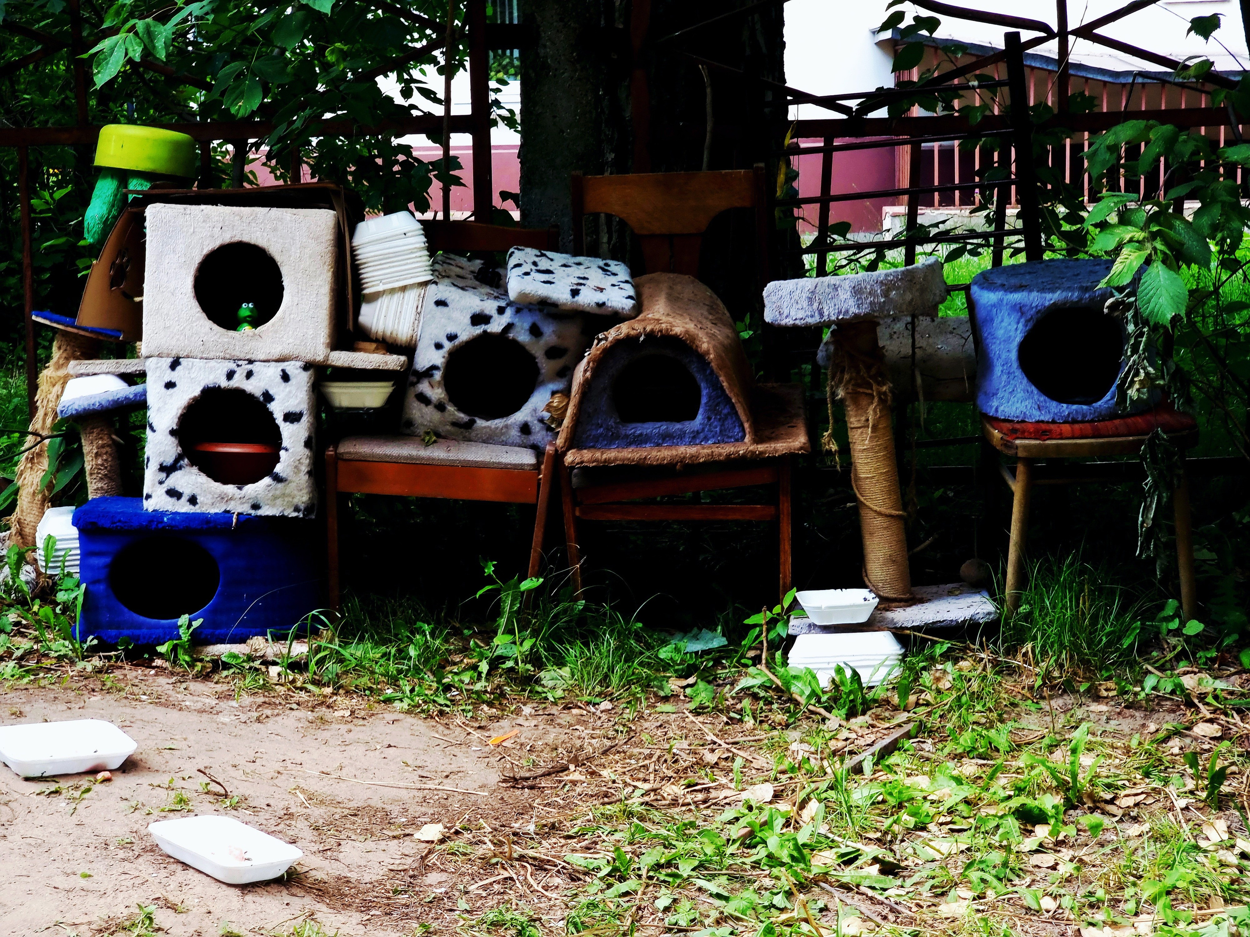 Июль 2025. Den Mirov — Фотограф, Музыкант