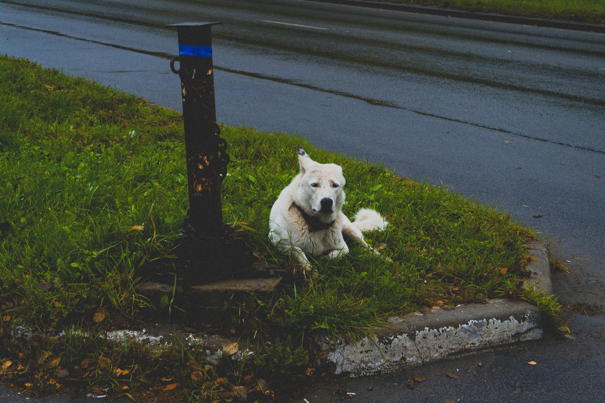 Октябрь 2025. Den Mirov — Фотограф, Музыкант