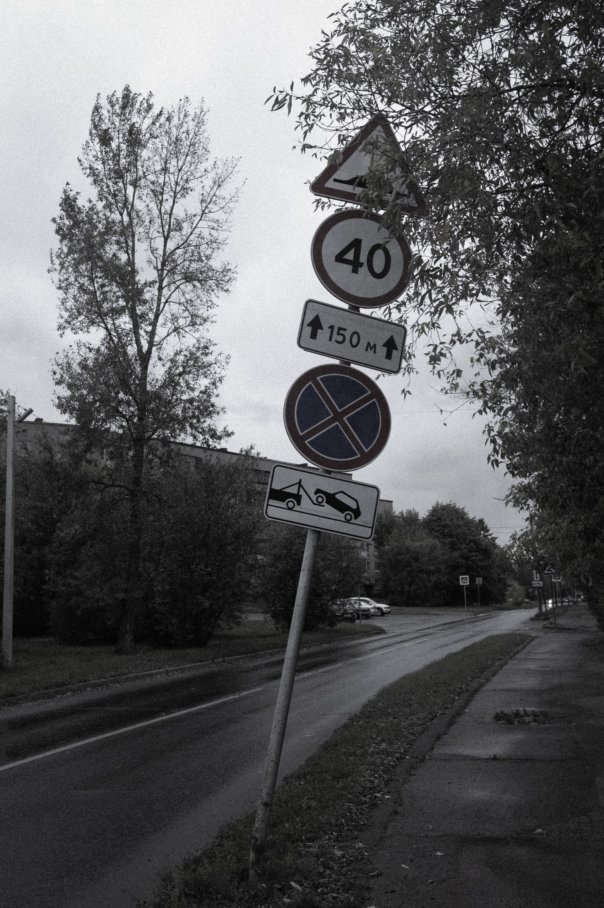 Сентябрь 2025. Den Mirov — Фотограф, Музыкант