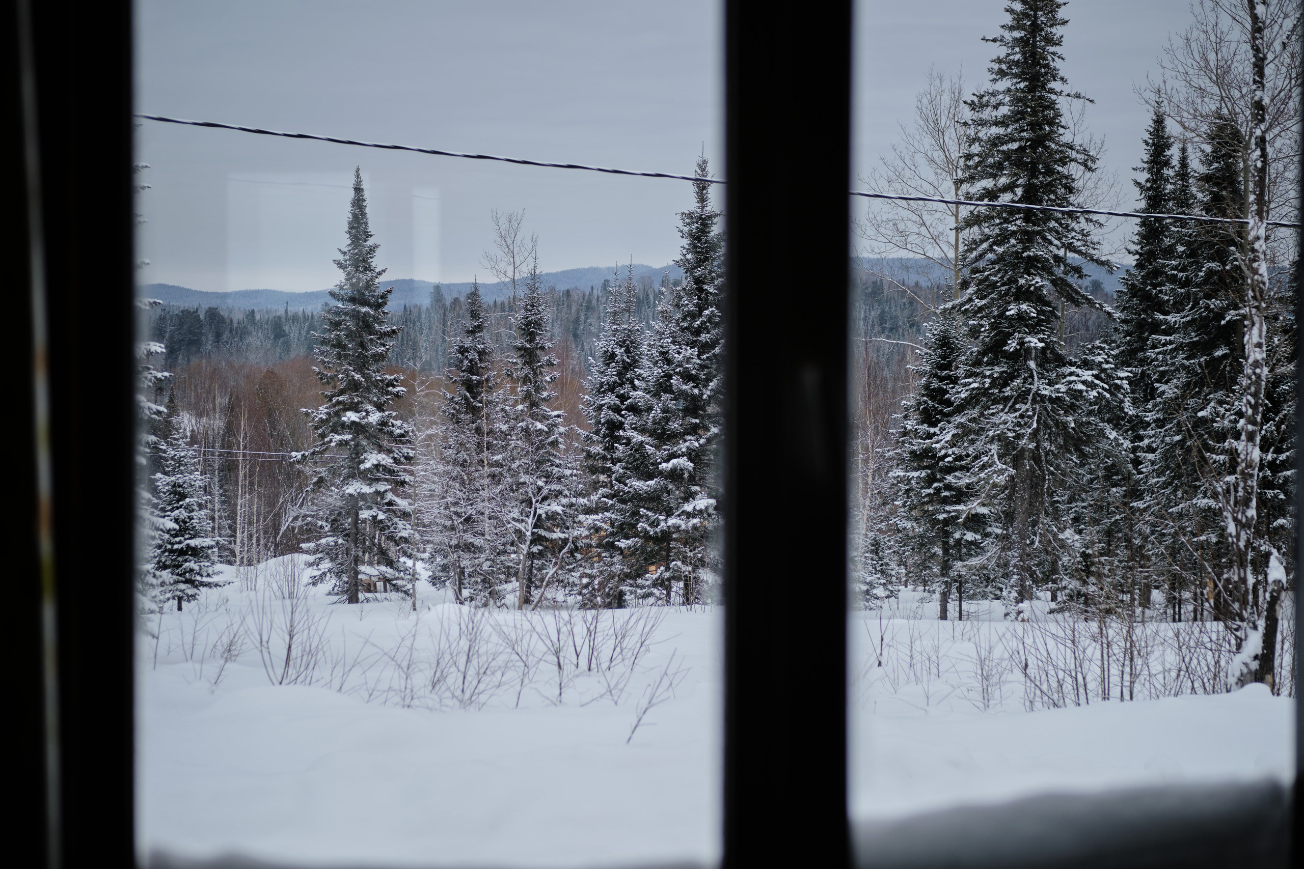 Цветочная ½. Свадебный и семейный фотограф в Новокузнецке Иван Иванов