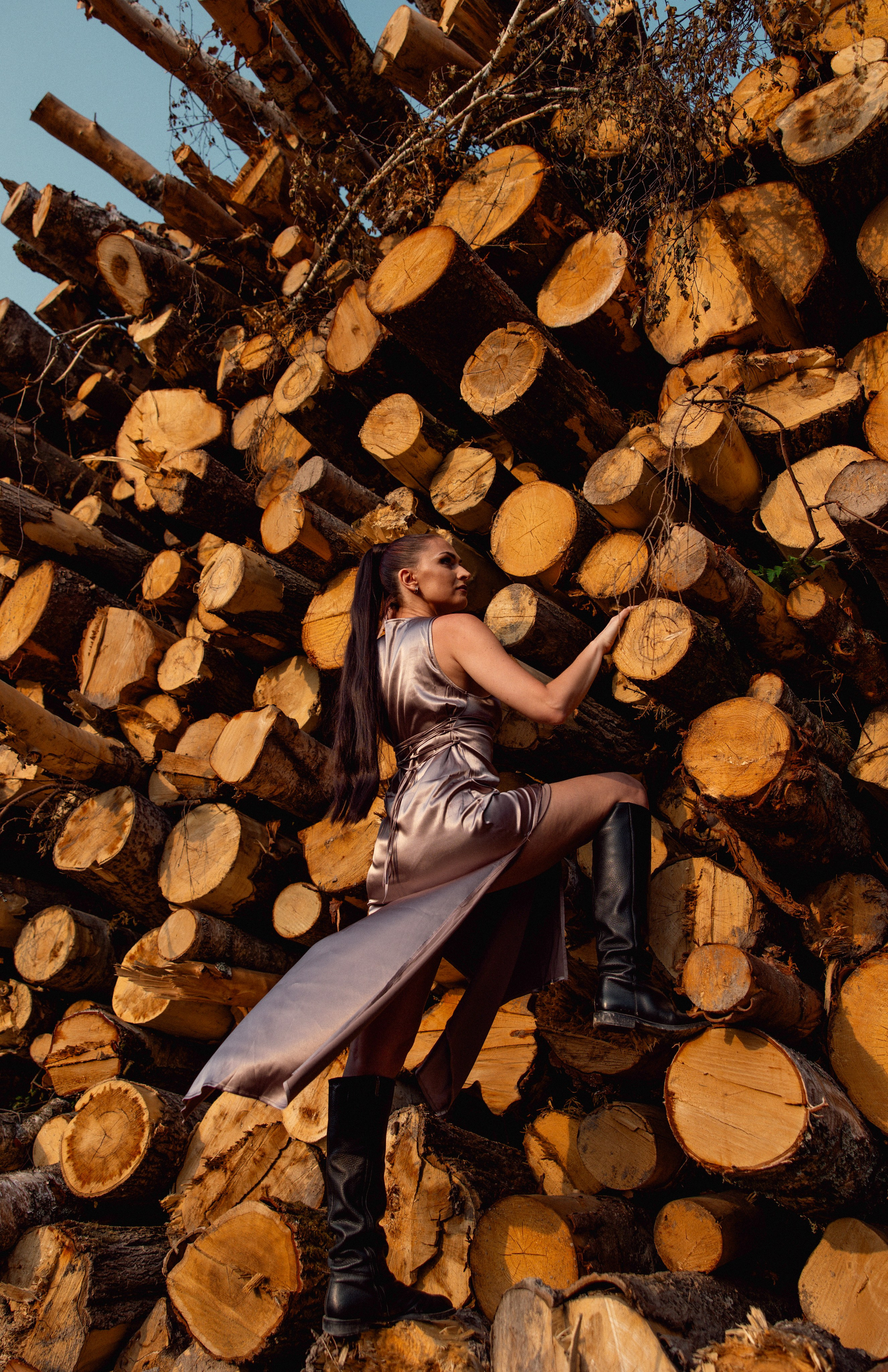 Древесные узоры. Сказочный фотограф для Вас и Вашей семьи