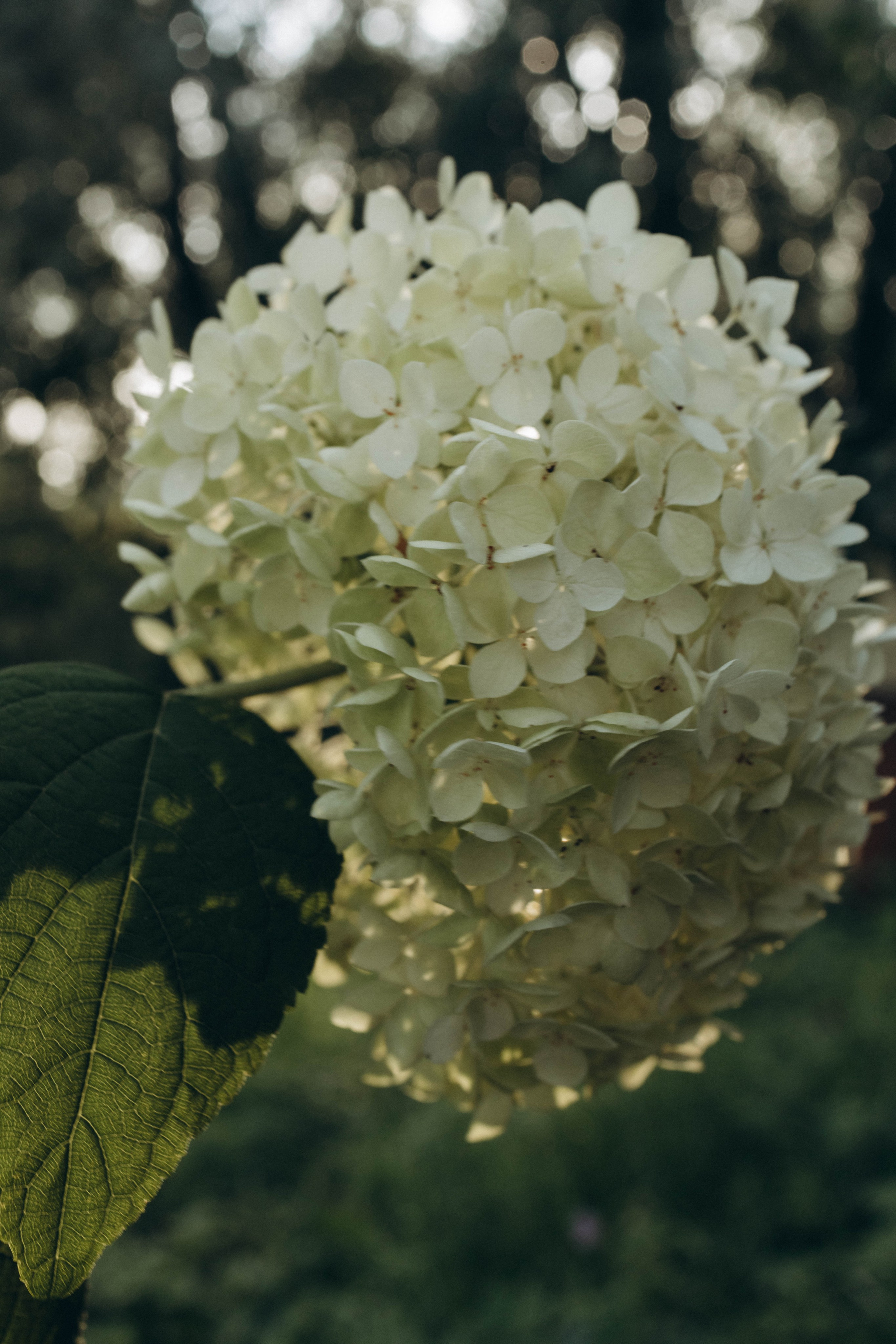 АРИНА. Карина Городецкая | Фотограф Нижний Новгород
