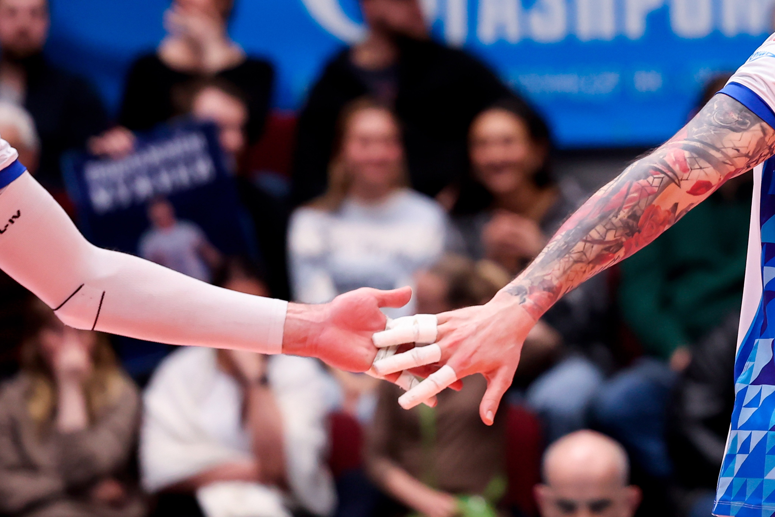 ВК Зенит — ВК Белогорье 08.04.2025. Спортивный и репортажный фотограф Антон Тереханов