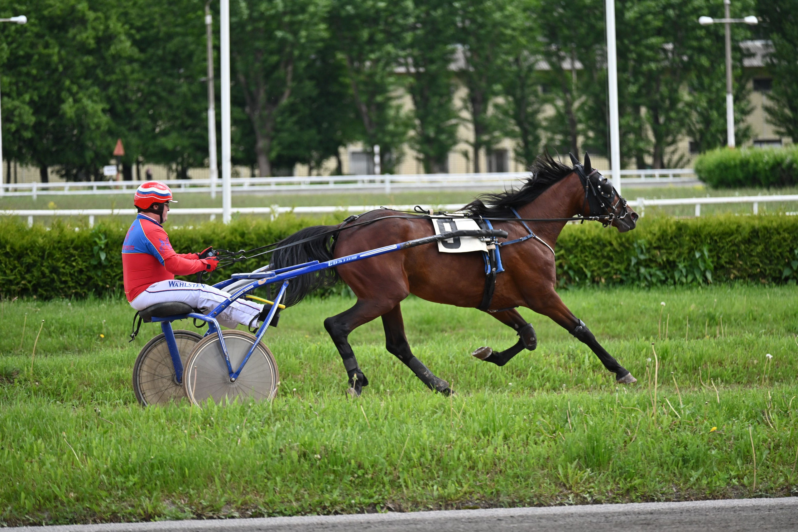 Ипподром (Москва). Fotolux