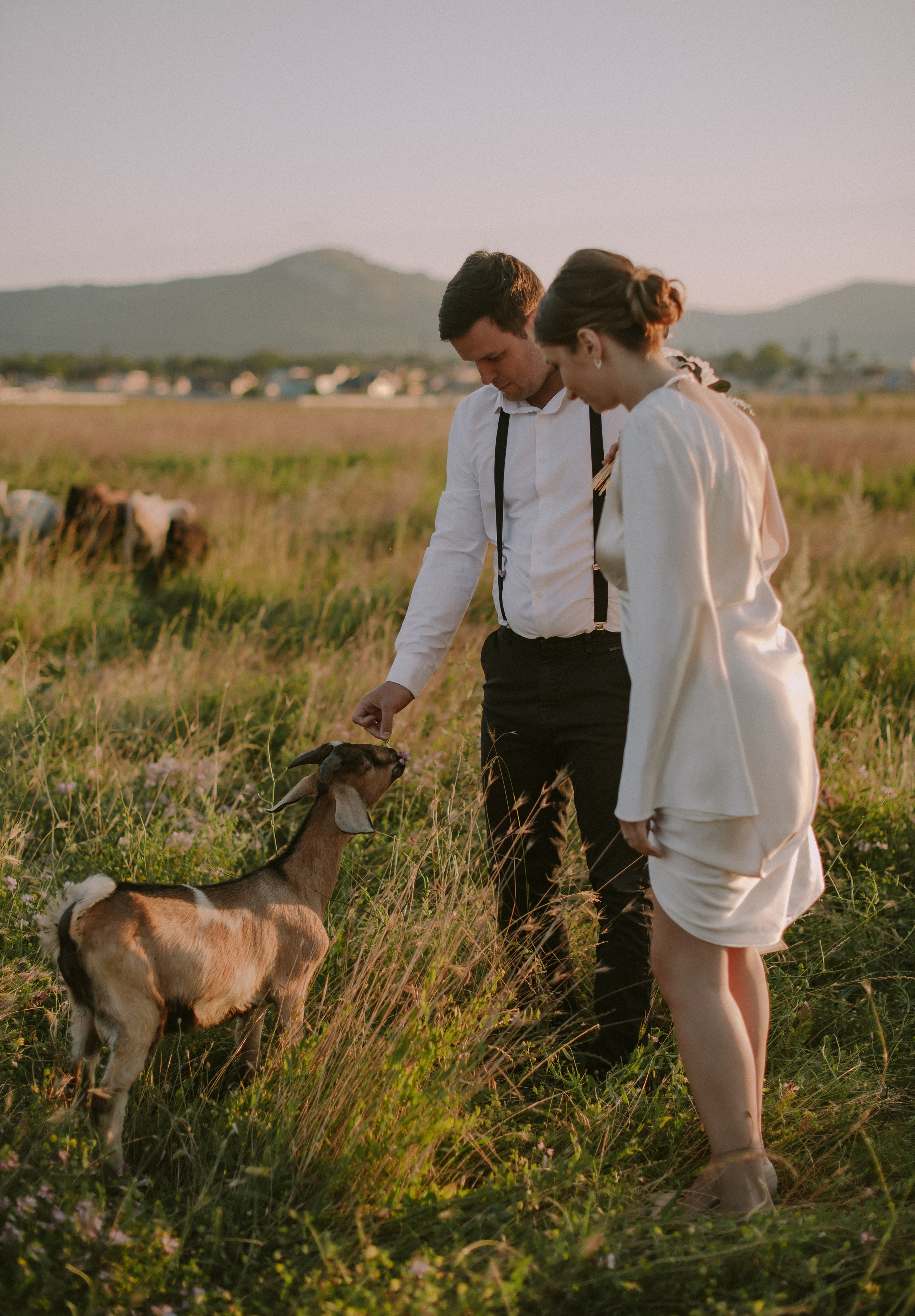 Алина и Александр. Свадебный, женский, семейный фотограф в Севастополе Юлия Мошенко