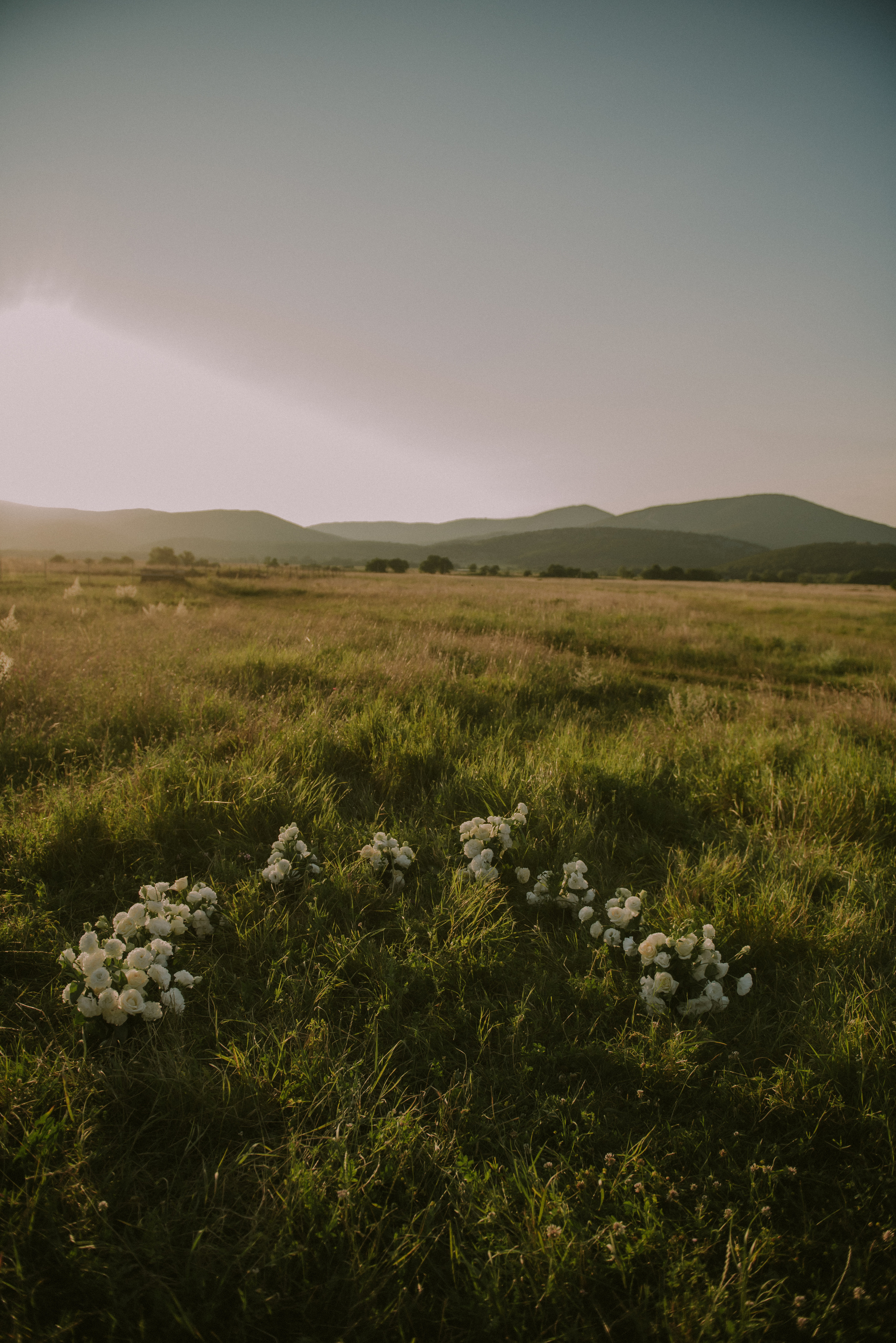 Алина и Александр. Свадебный, женский, семейный фотограф в Севастополе Юлия Мошенко