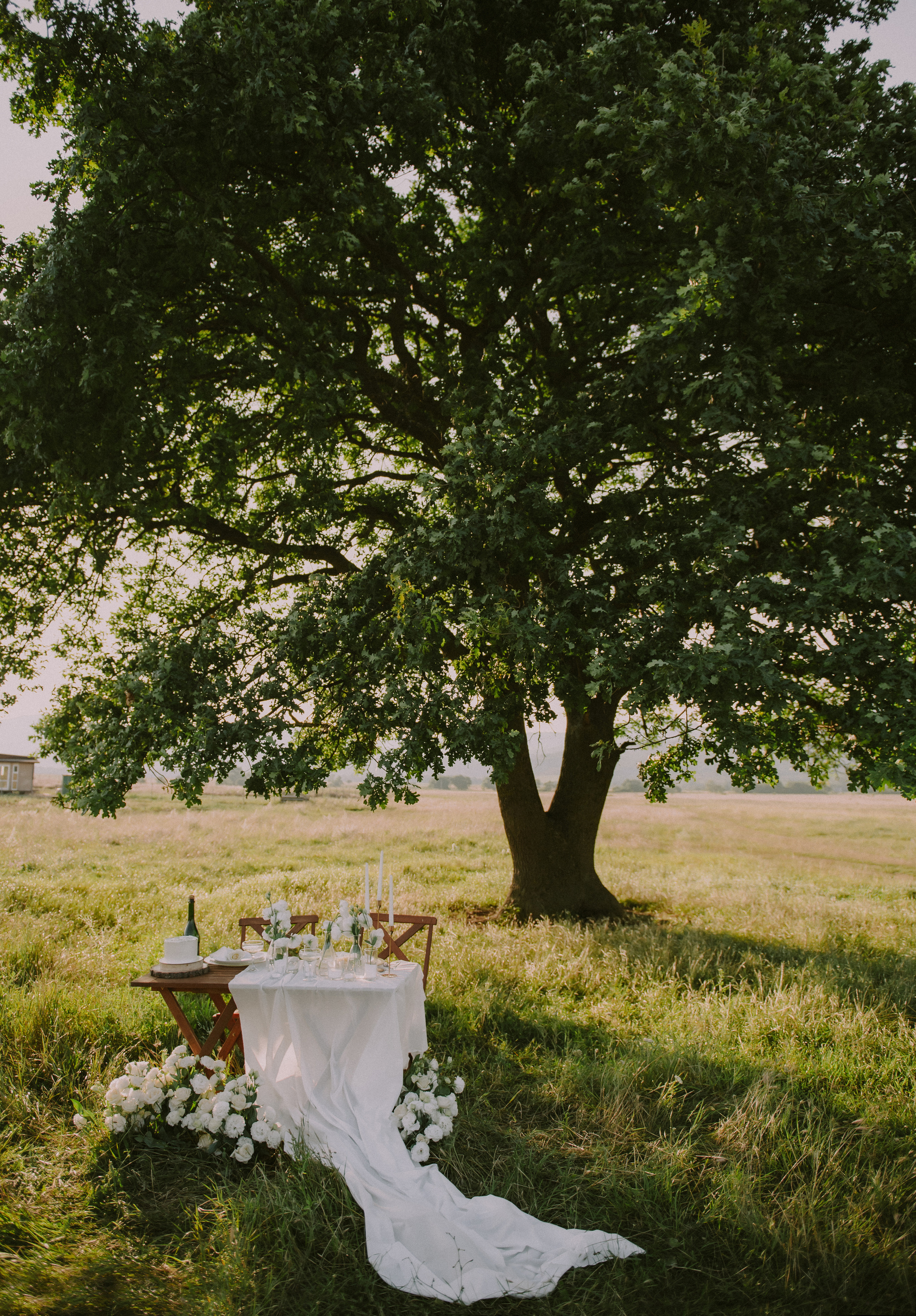 Алина и Александр. Свадебный, женский, семейный фотограф в Севастополе Юлия Мошенко