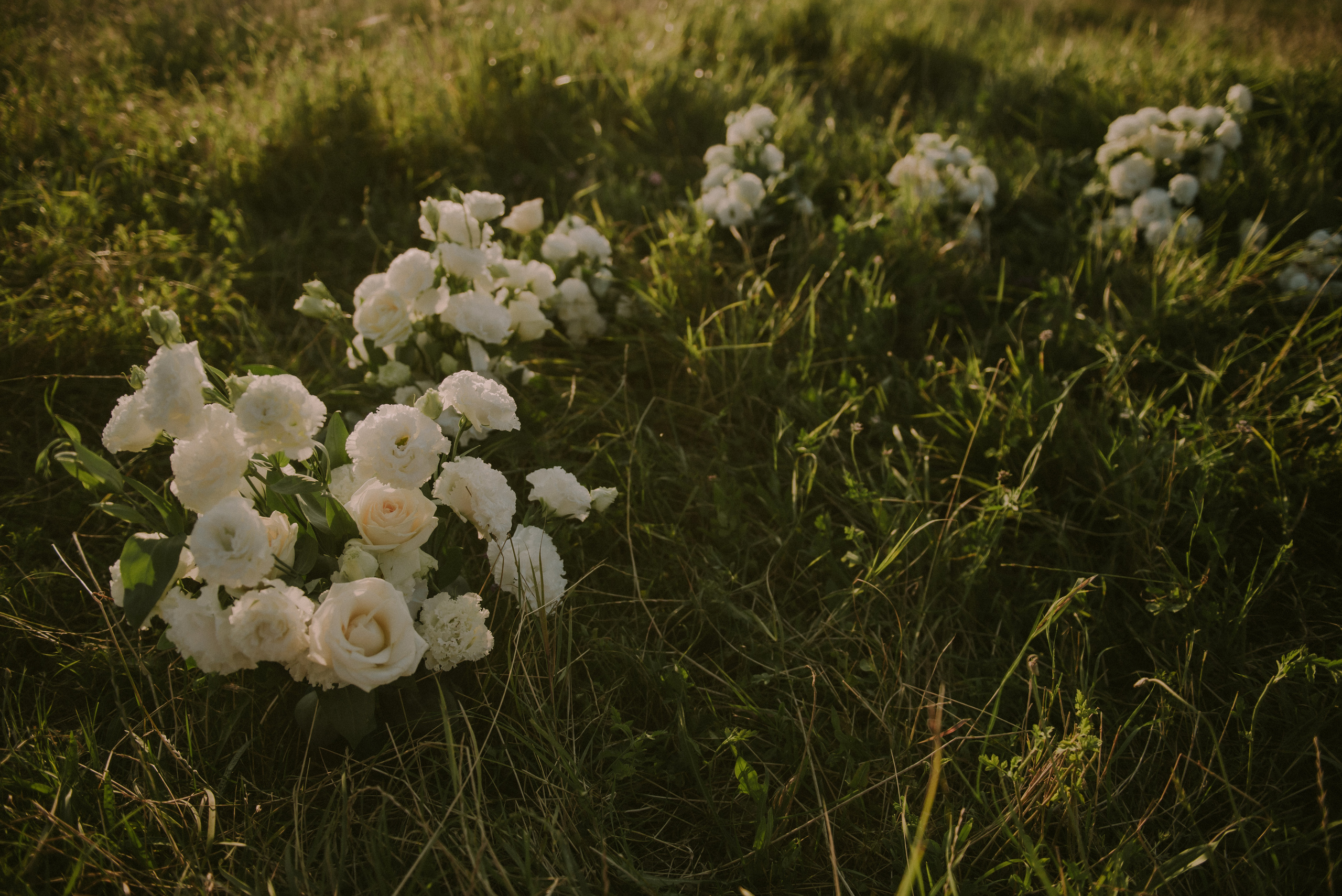 Алина и Александр. Свадебный, женский, семейный фотограф в Севастополе Юлия Мошенко