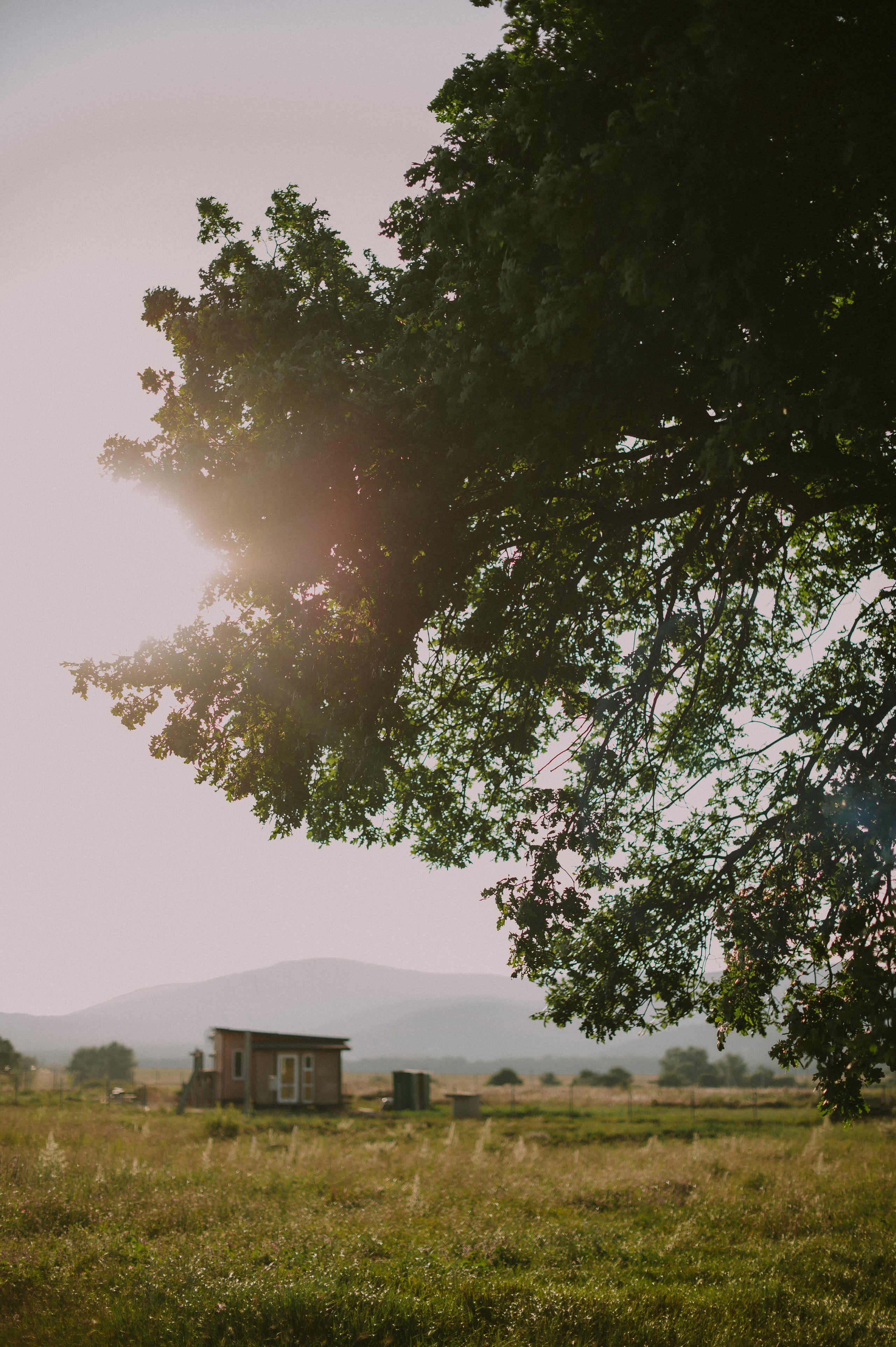 Алина и Александр. Свадебный, женский, семейный фотограф в Севастополе Юлия Мошенко