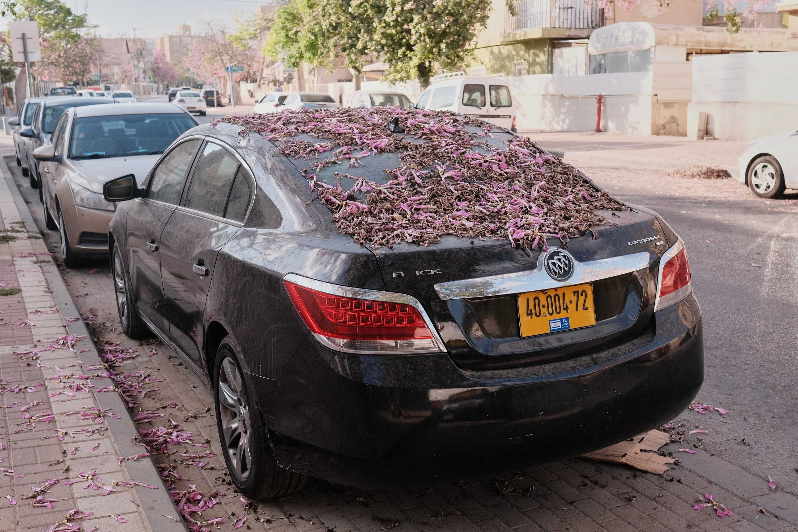 Фотографии Беер-Шевы | Филипп Линзин. Репортажный и портретный фотограф в Санкт-Петербурге Филипп Линзин