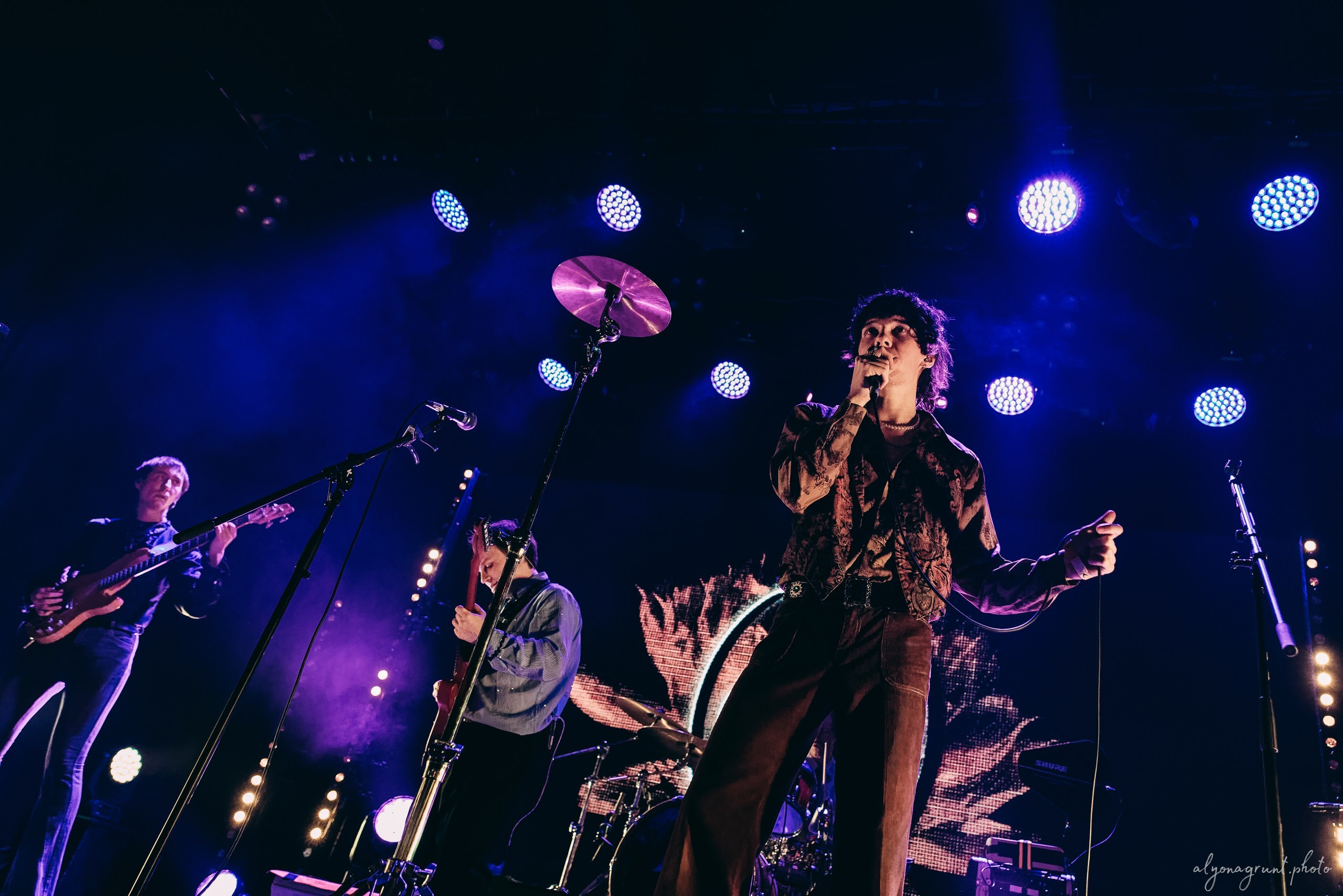 Сова, фоторепортаж, СПб, Космонавт, 18.12.2025. Алена Адрианова: фотограф в Санкт-Петербурге