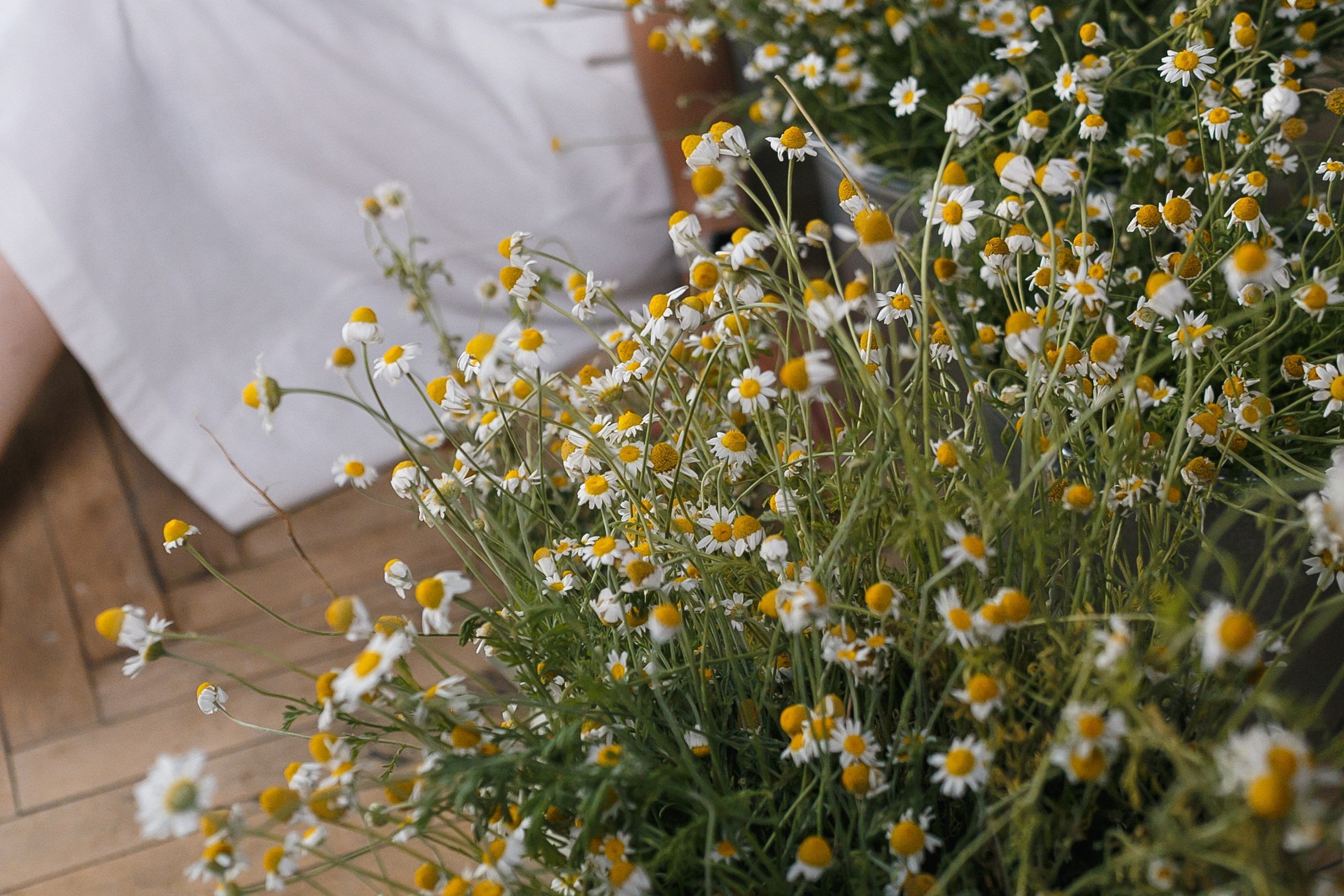 Тройняшки в ромашках. Событийный фотограф Максим Бескоровайновнов