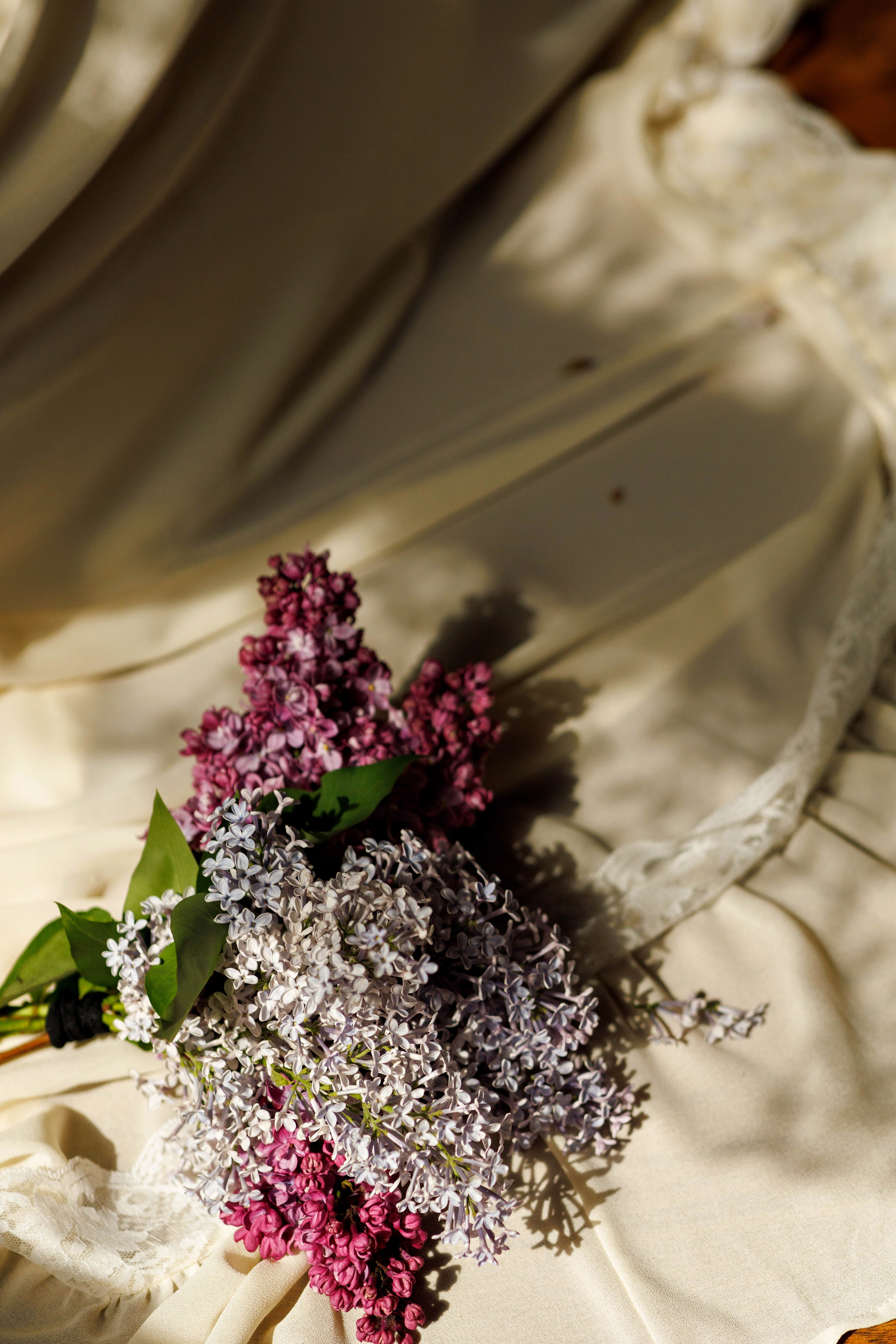 Екатерина. Детский и семейный фотограф в Твери Ольга Крестьянинова