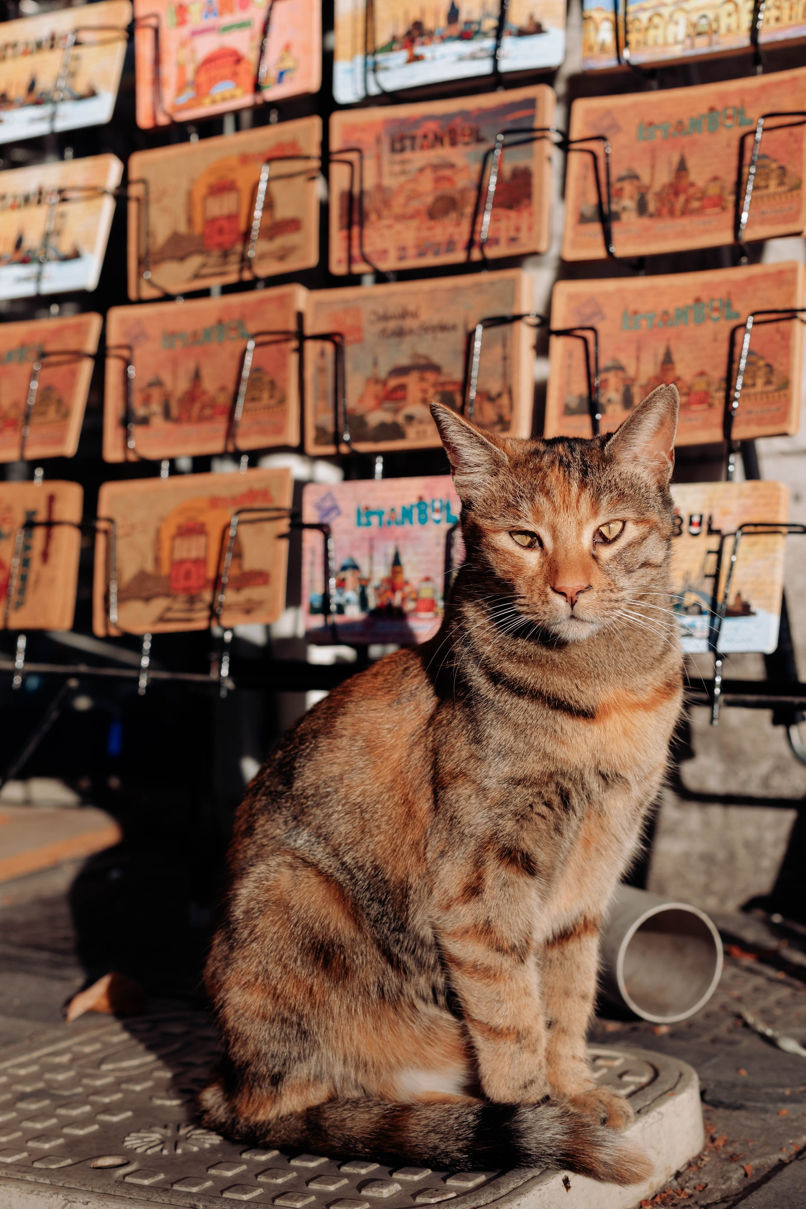 Istanbul. Katerina Spekhova