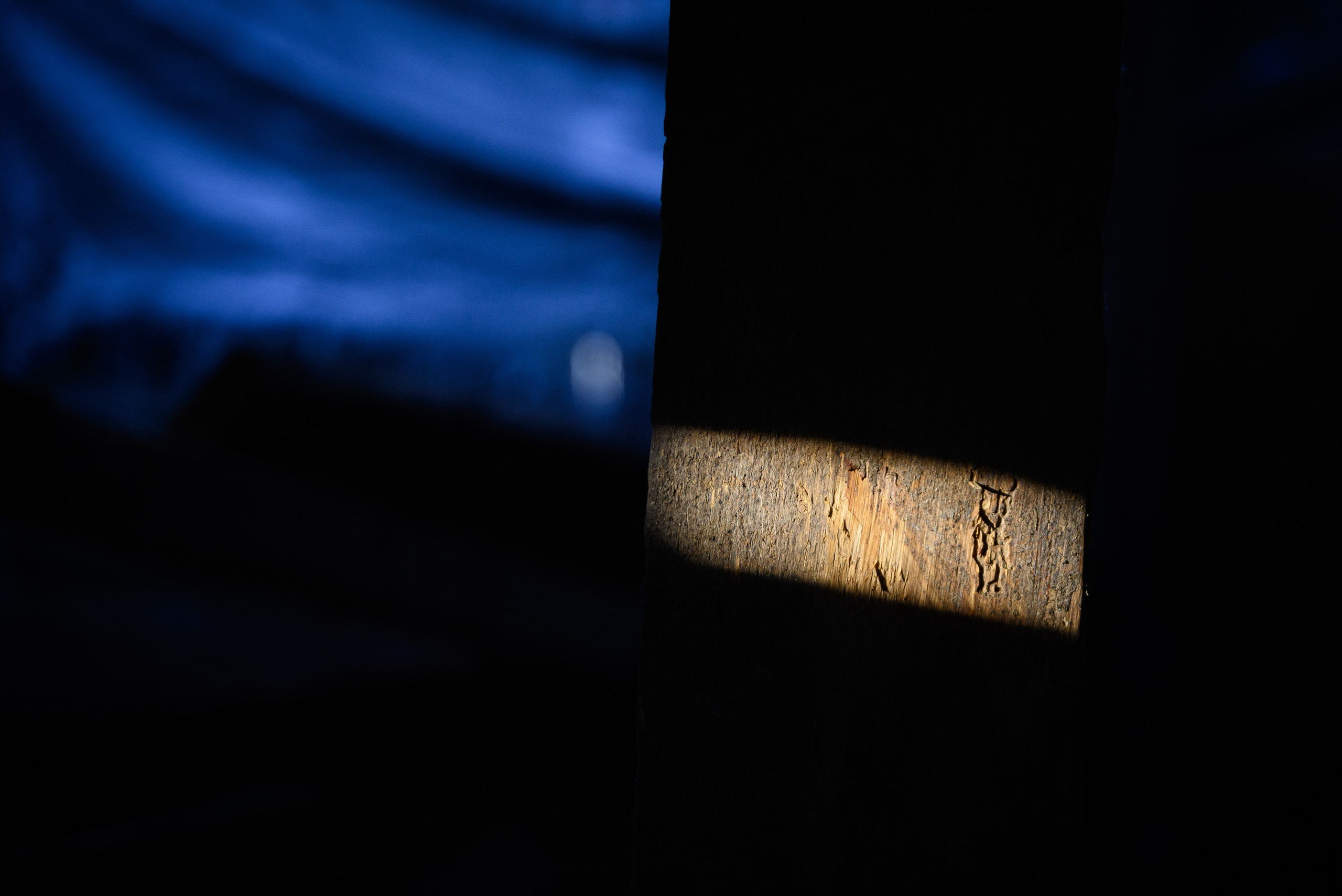 Увидеть свет. Фотограф Антон Денисенко: Портрет, Документалистика, Пейзаж. Москва