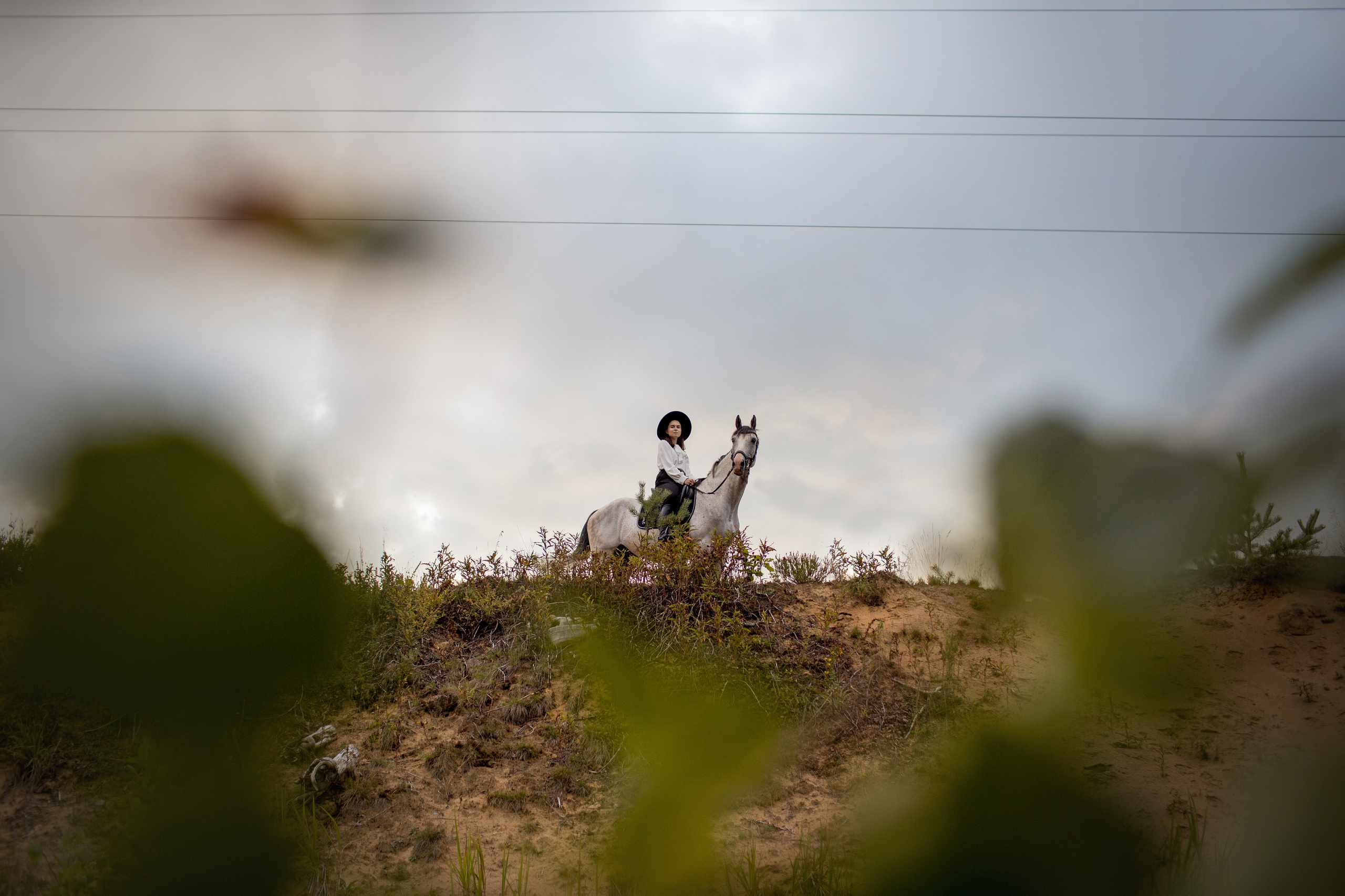 Фотодень с лошадьми в СПб