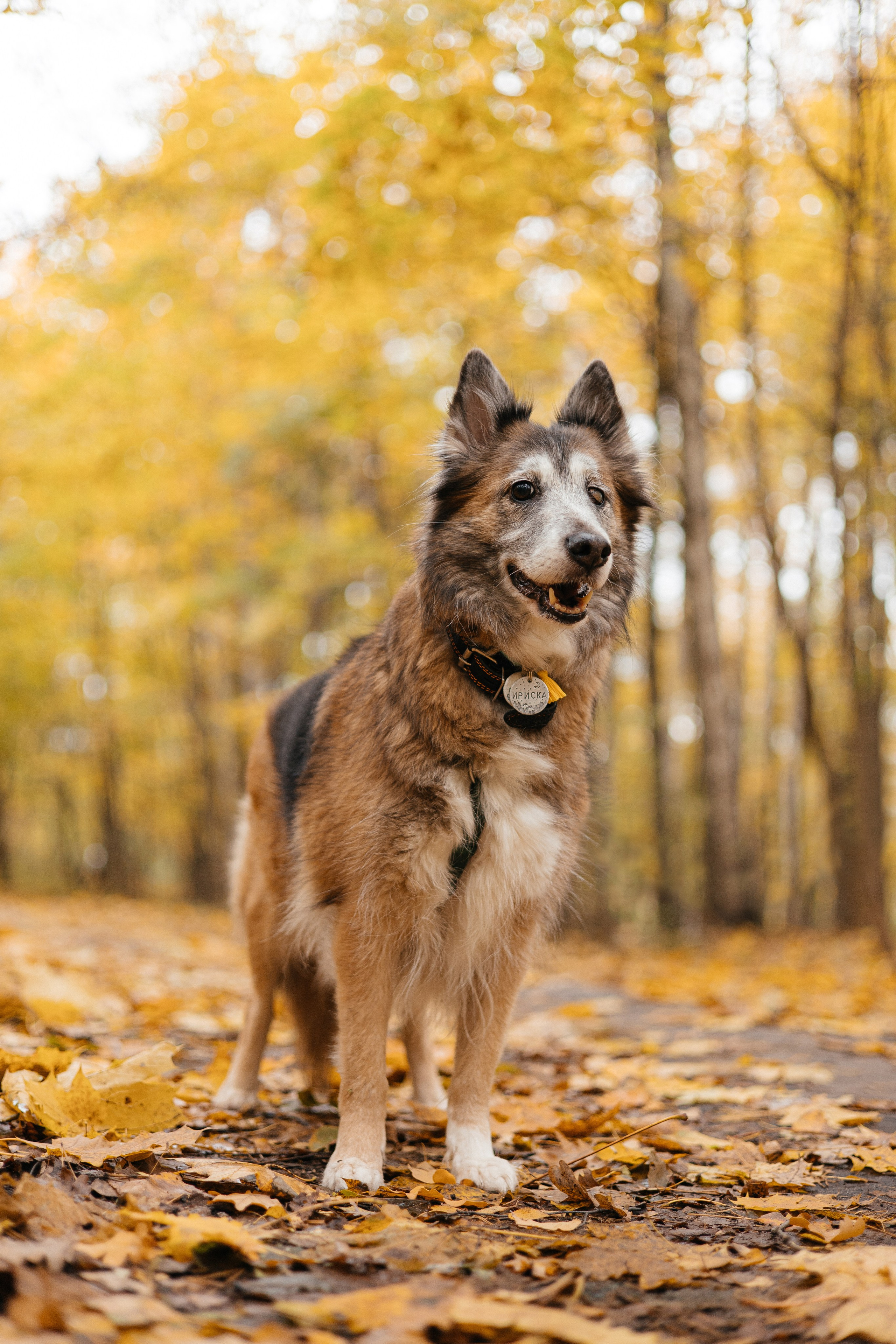 Аня и Ириска. Фотограф Анна Луценко Москва