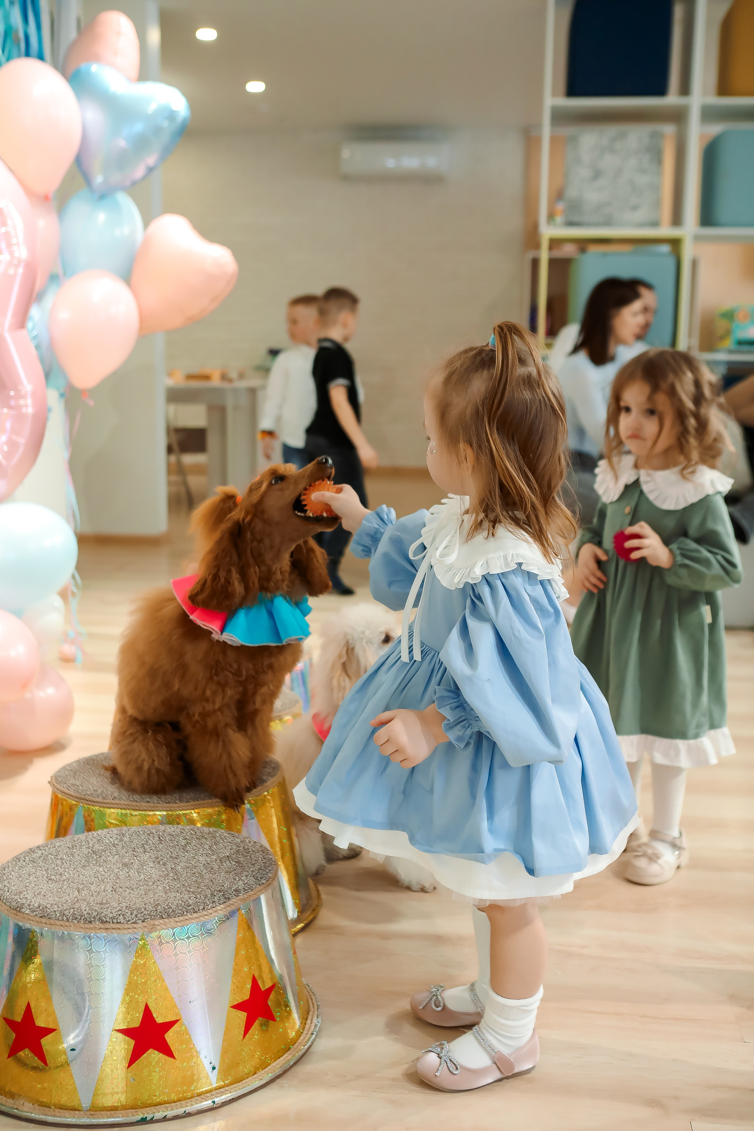 Алине 3 годика. Семейный и свадебный фотограф во Владивостоке Аня Смецкая