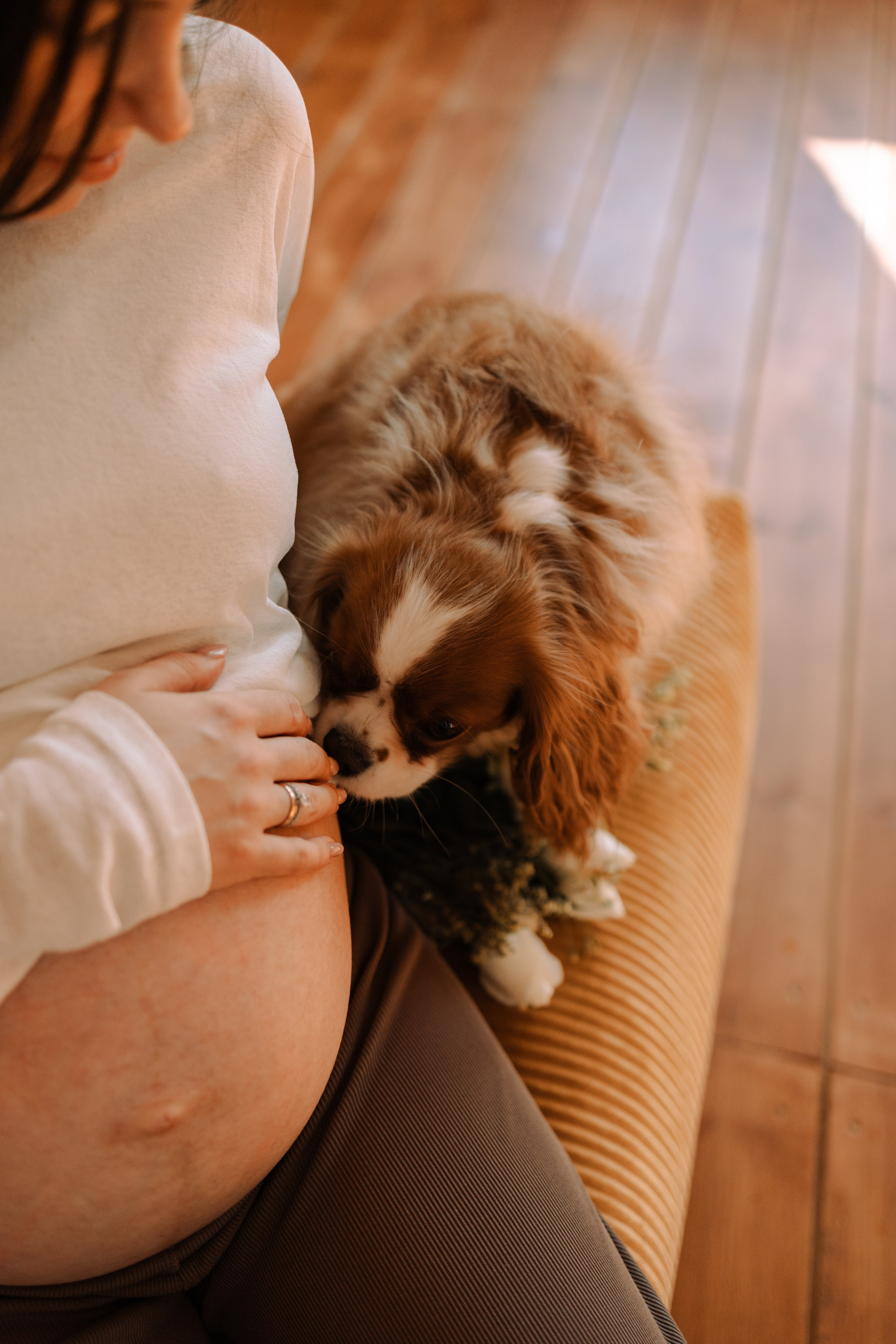 Шерри и ее семья. Фотограф — Анималист | Санкт-Петербург