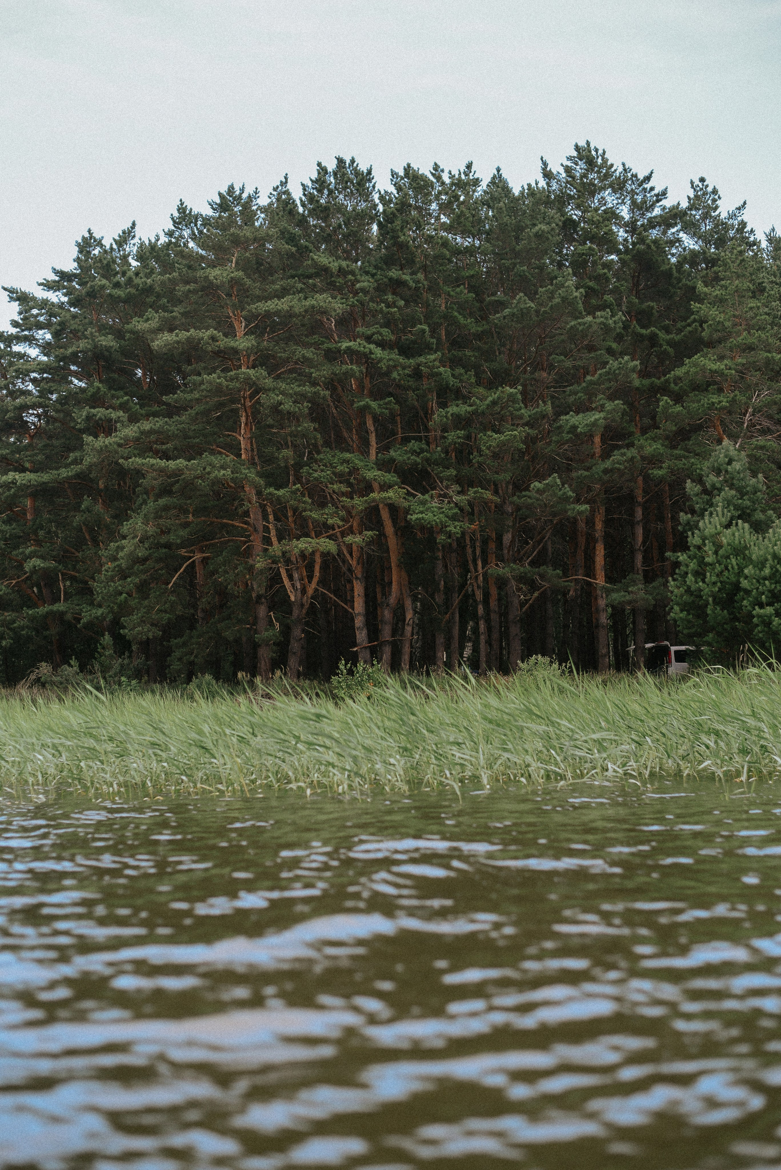Маленькая хозяйка большого Мира. Детский и семейный фотограф в Новосибирске Саша Дорошенко