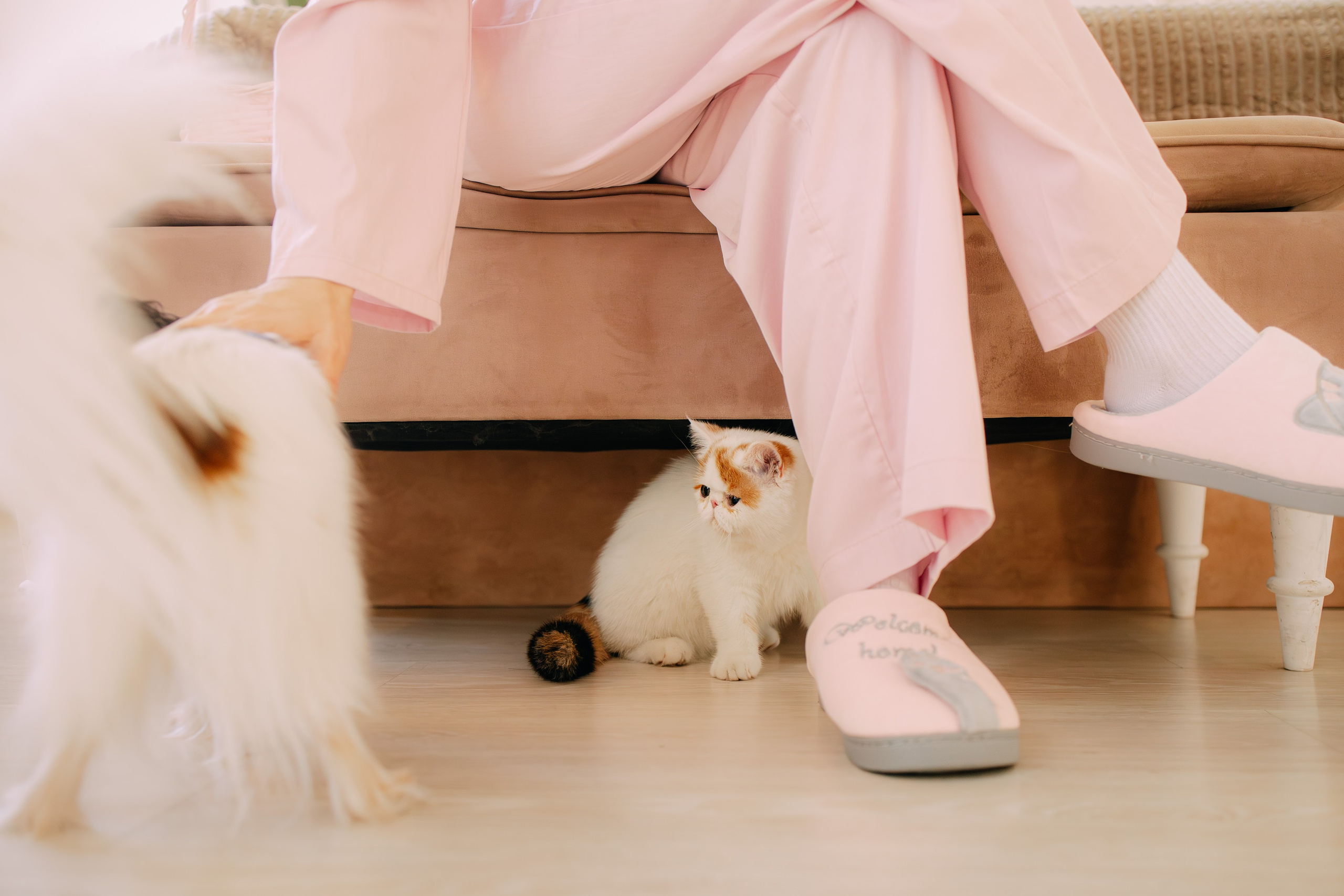 Султан, Мэй Мэй и Шанталь и их семья