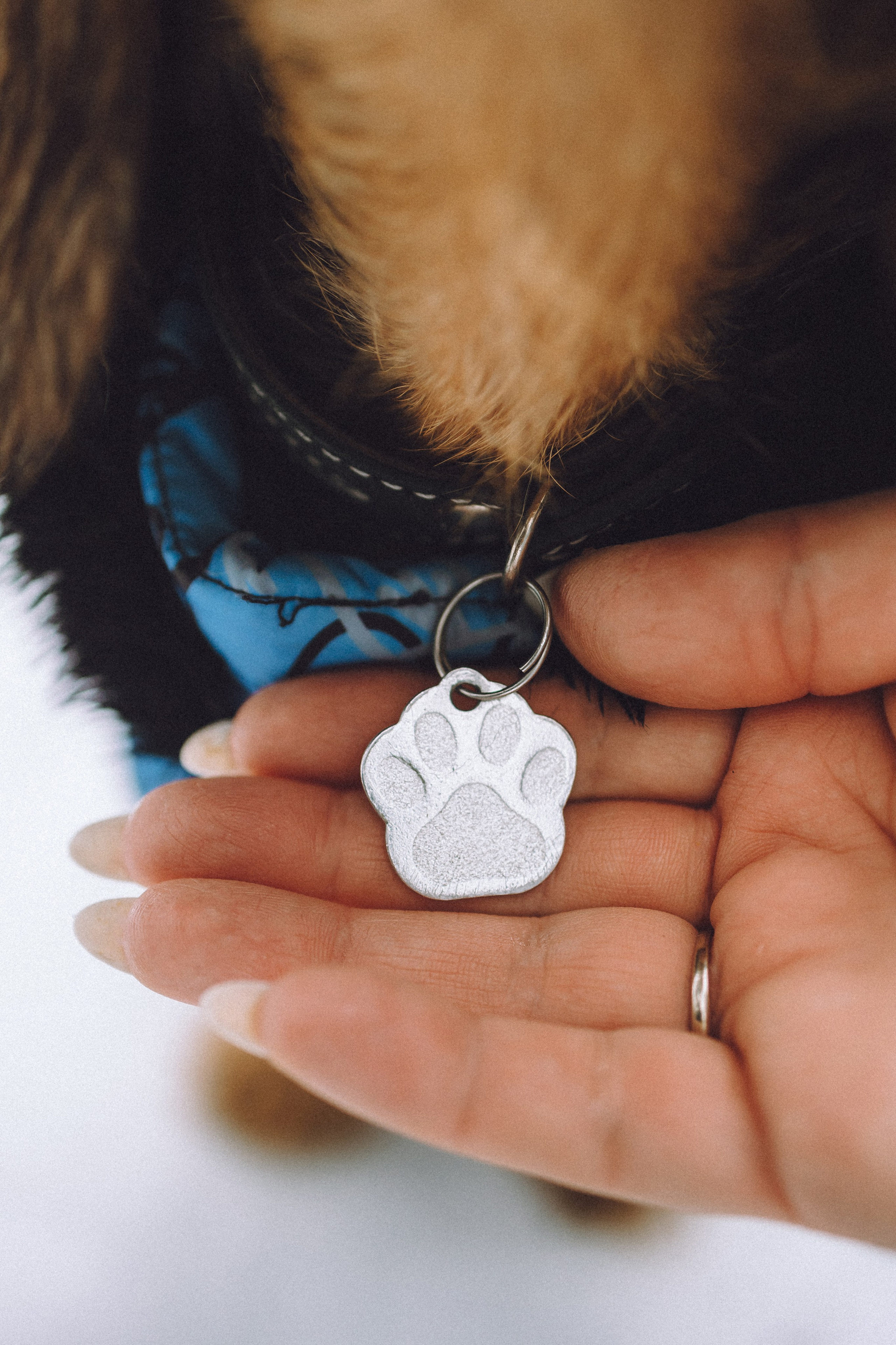 Каспер и его семья