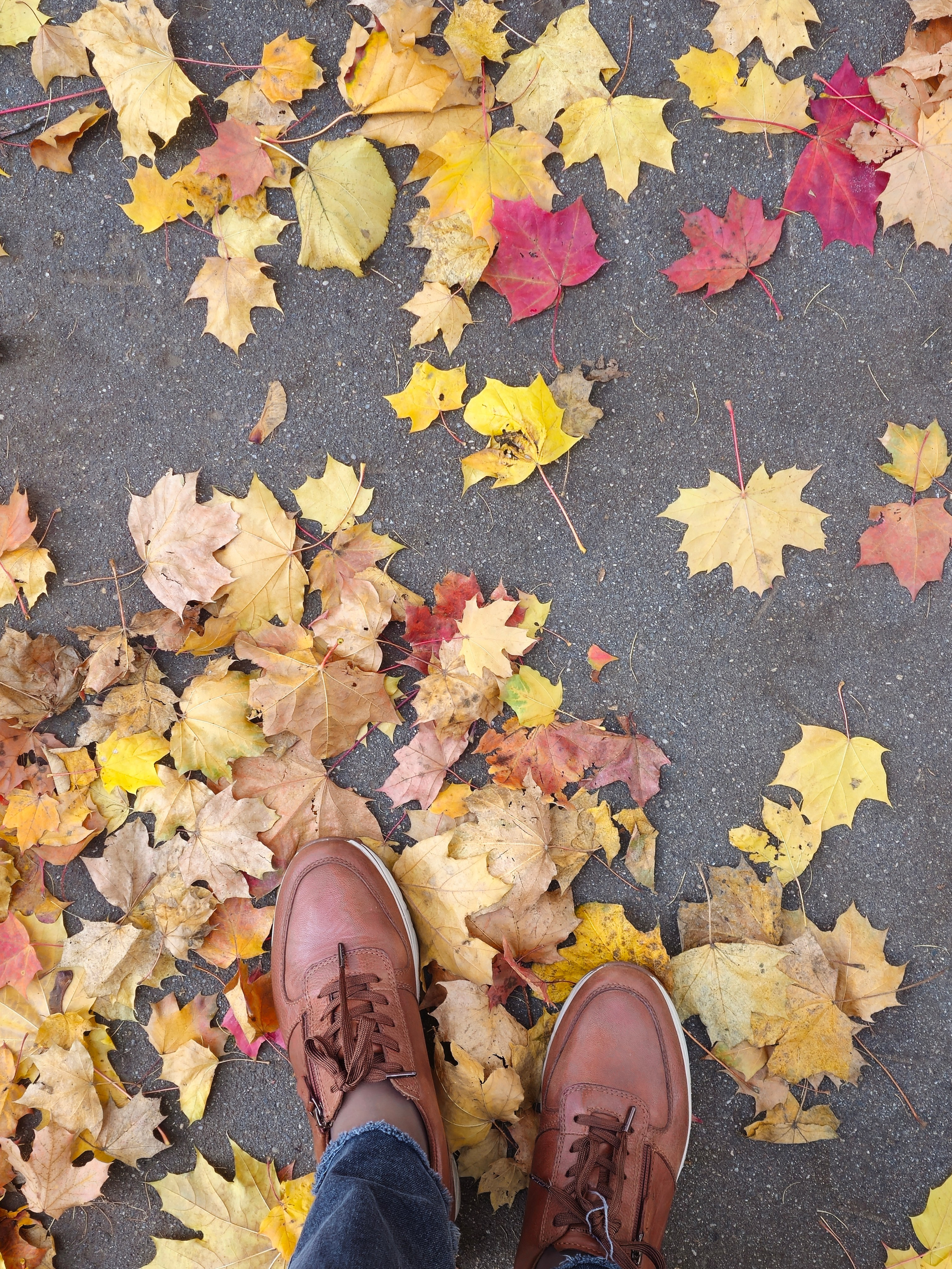 Коричневые кроссовки ботинки на фоне осенних листьев, фото сверху вниз