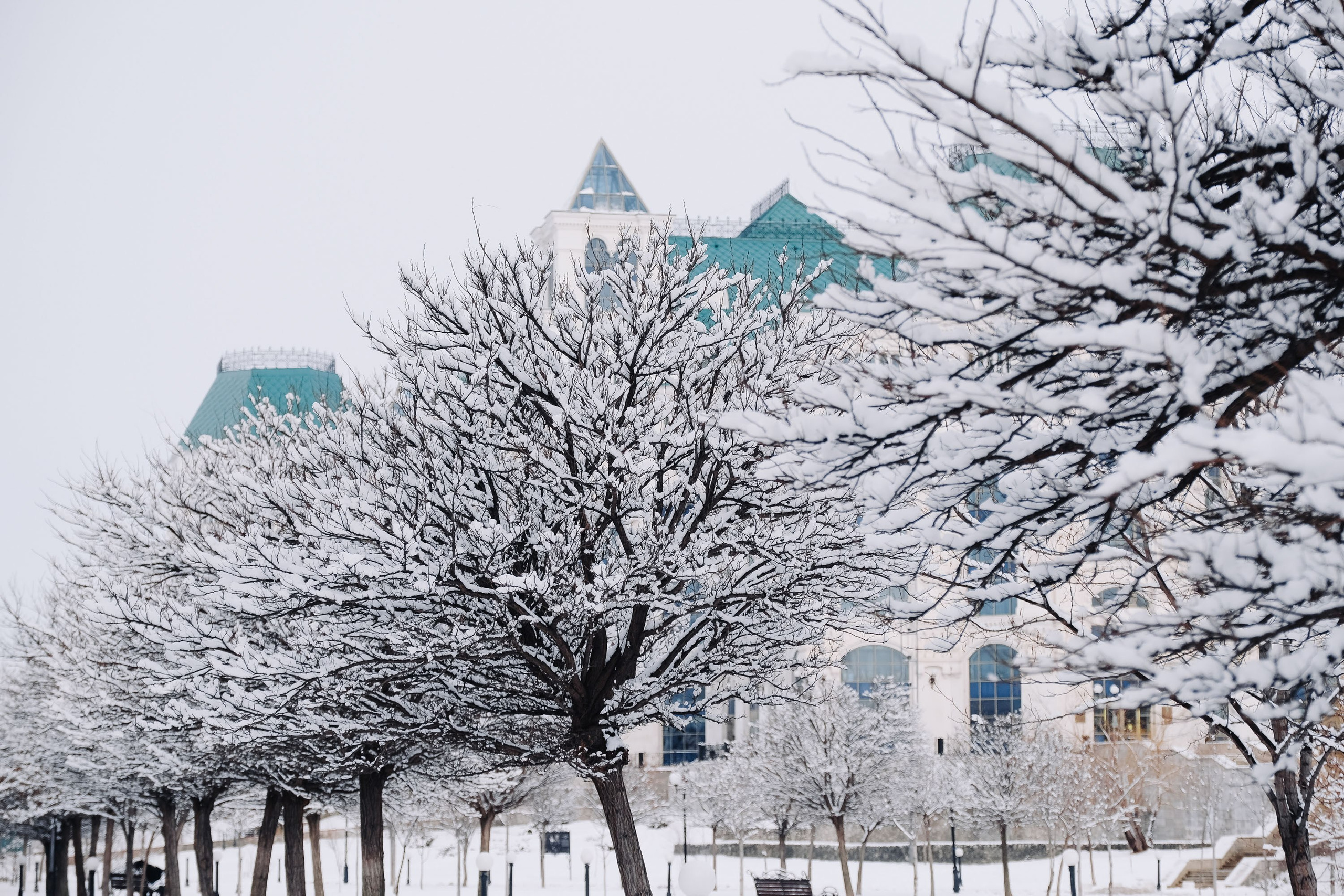 Театральный парк. Зима. Фотограф Анатолий Деникин