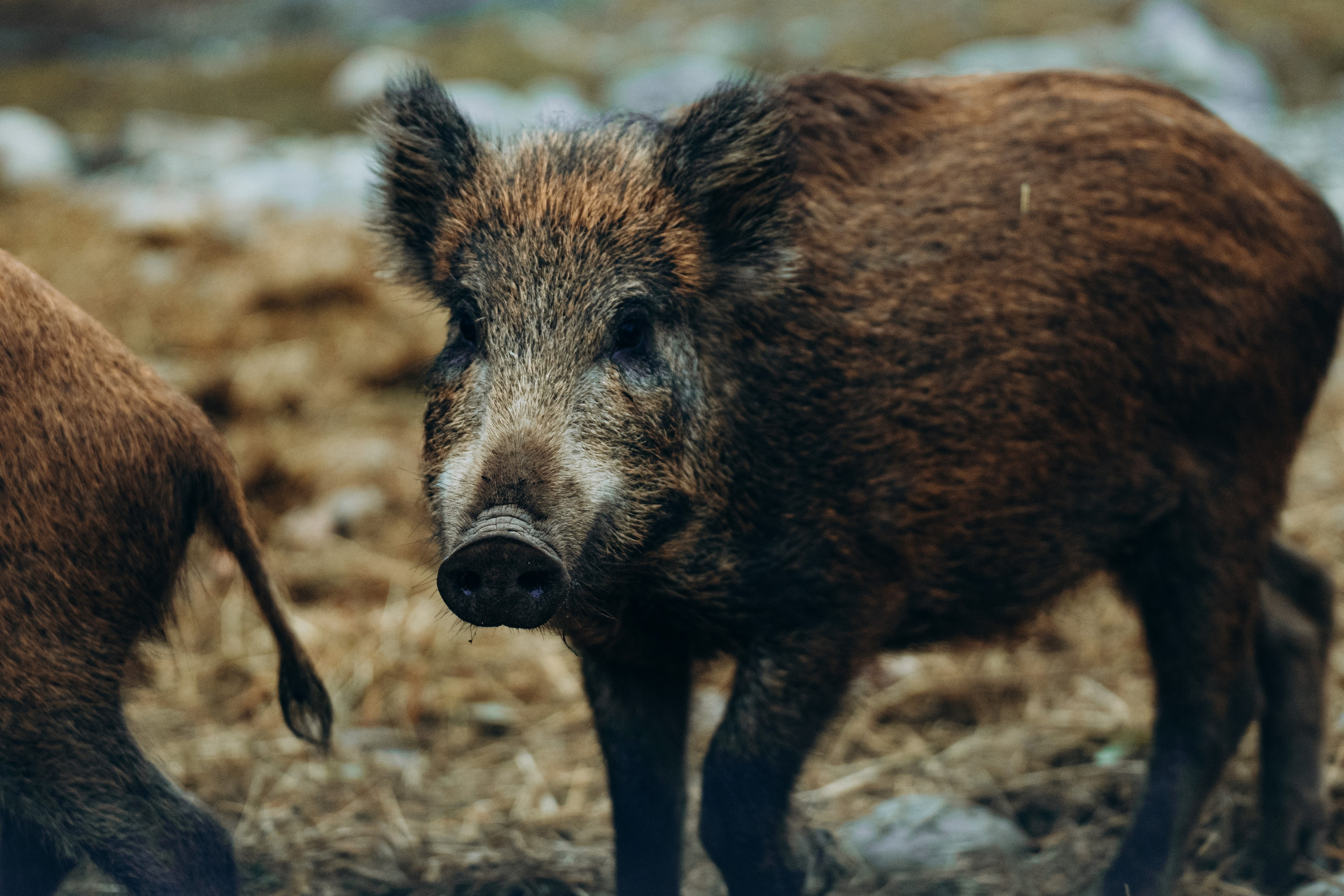 СЕВЕР. Event фотограф Степанова Александра