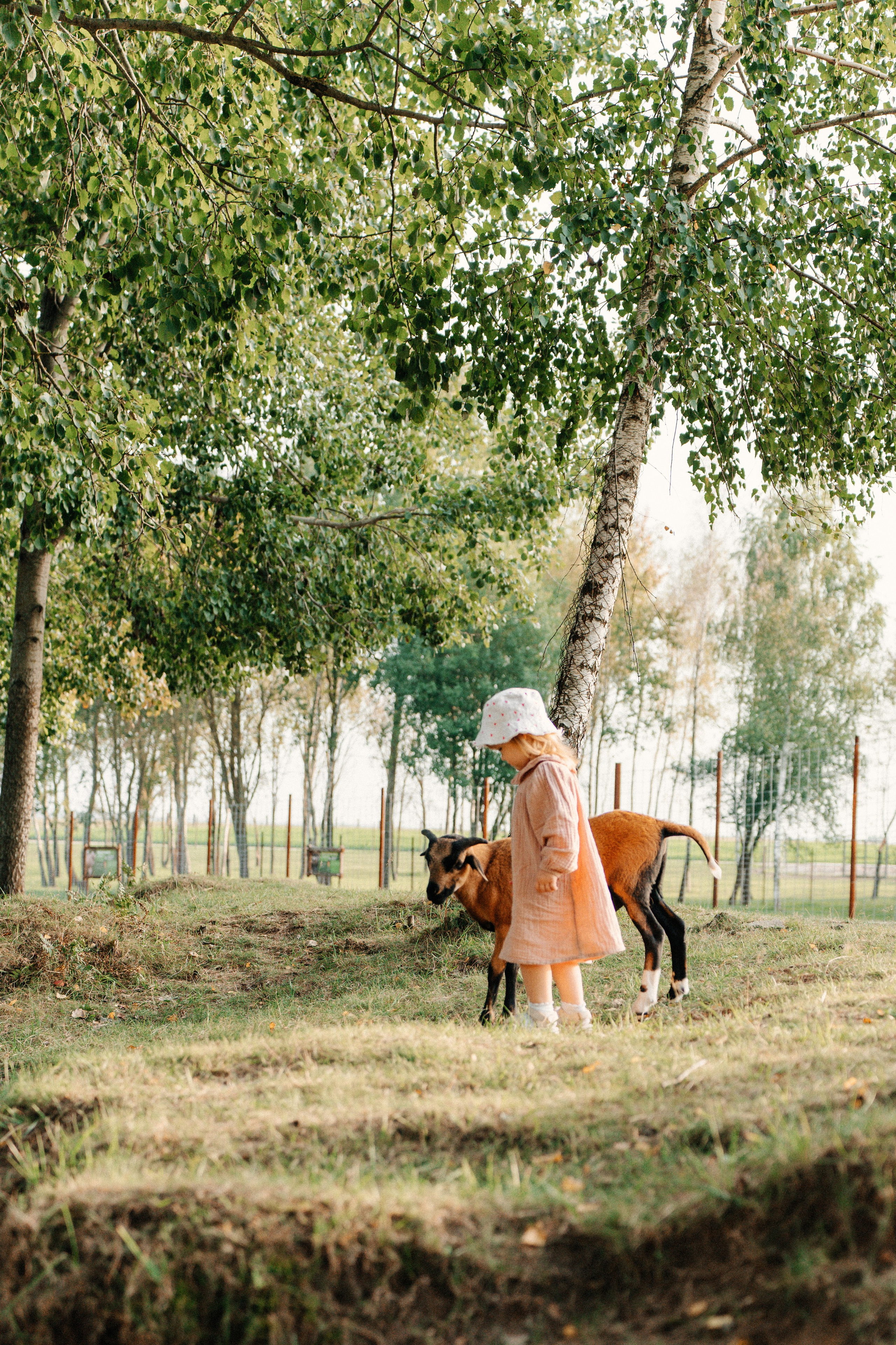 Диприз — в мире диких животных. Ваш семейный фотограф в Минске — Вика Трегубова