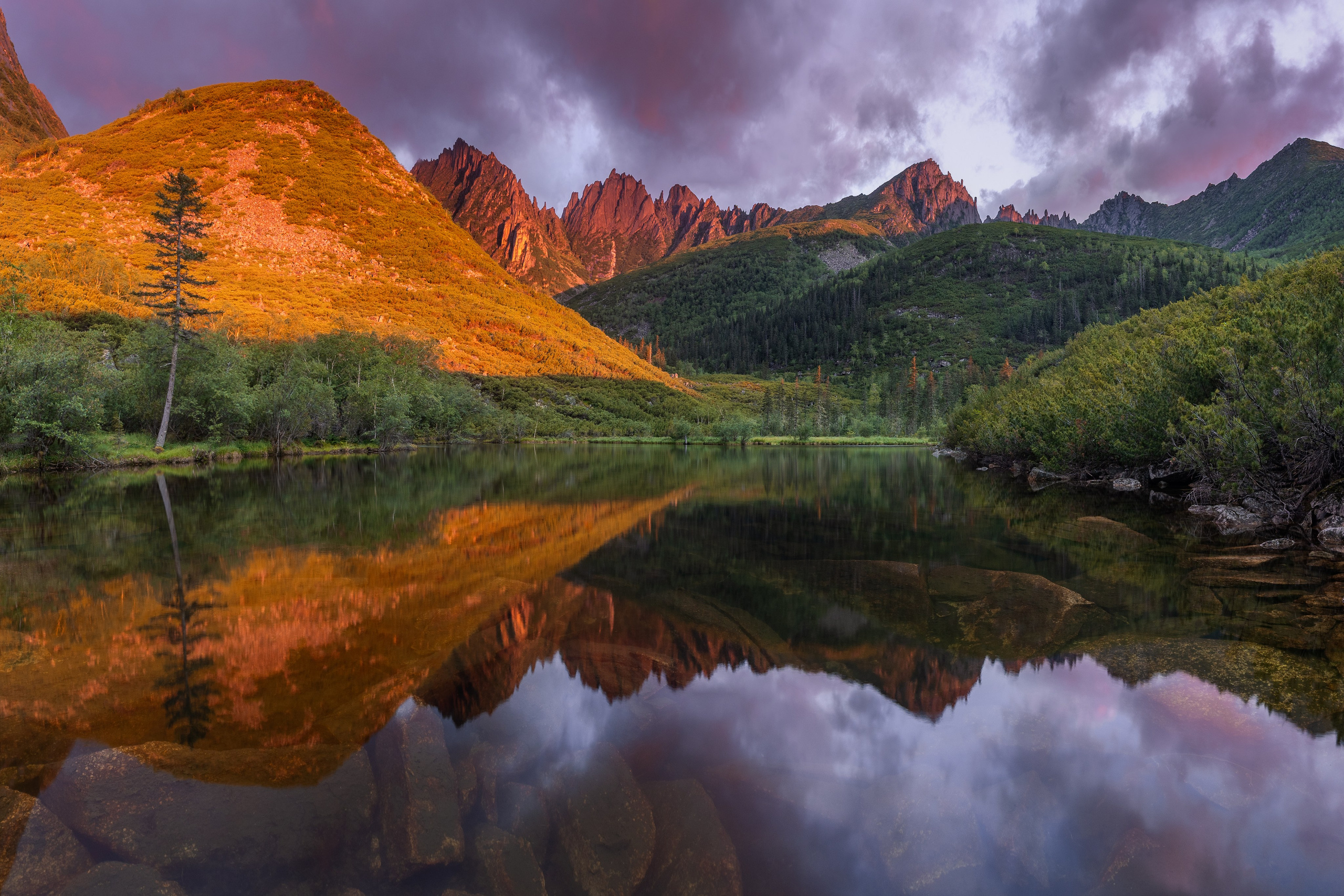 Andrew Gusarov Nature Photography