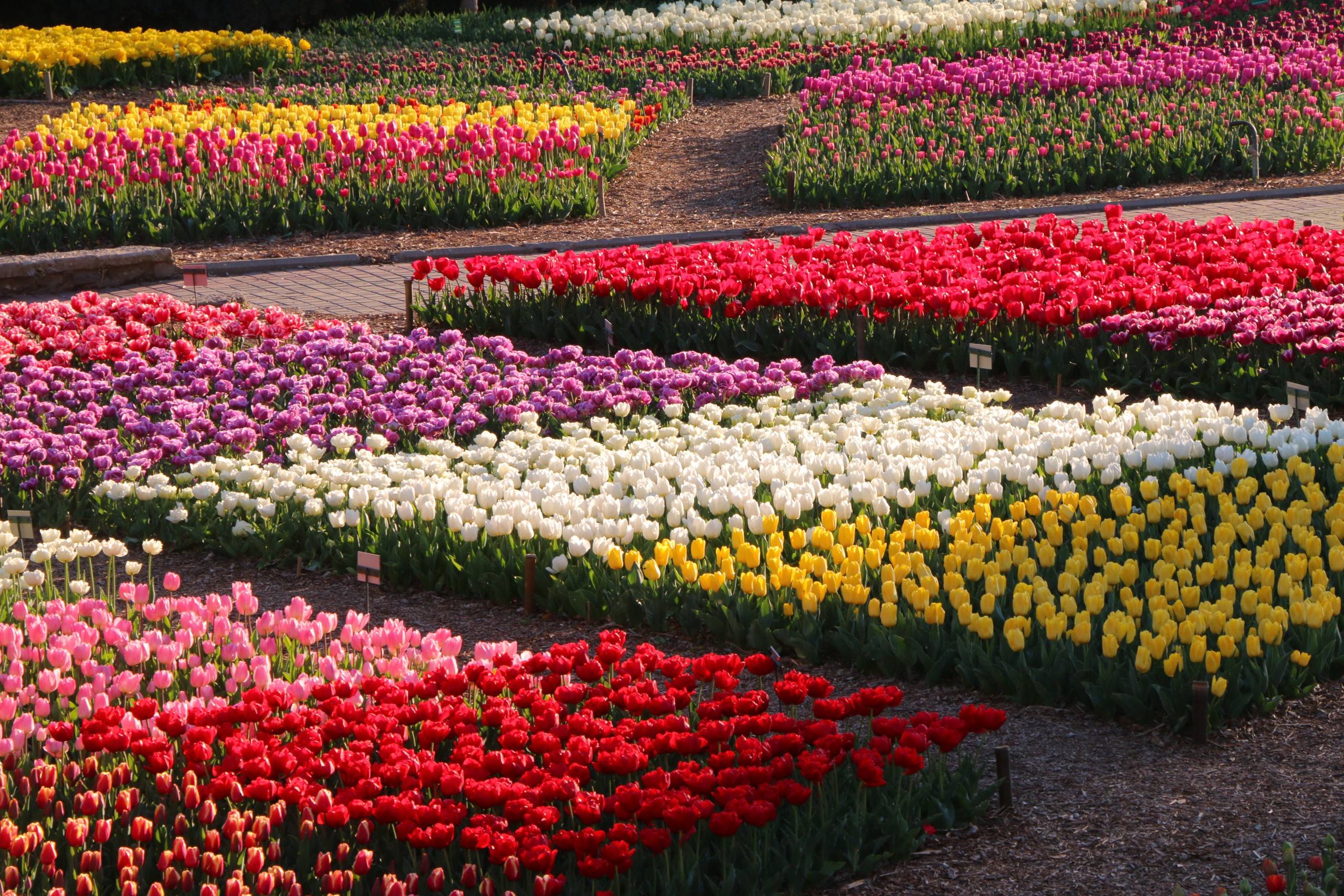 Природа. Семейный и детский фотограф в Ялте Ольга Солерина