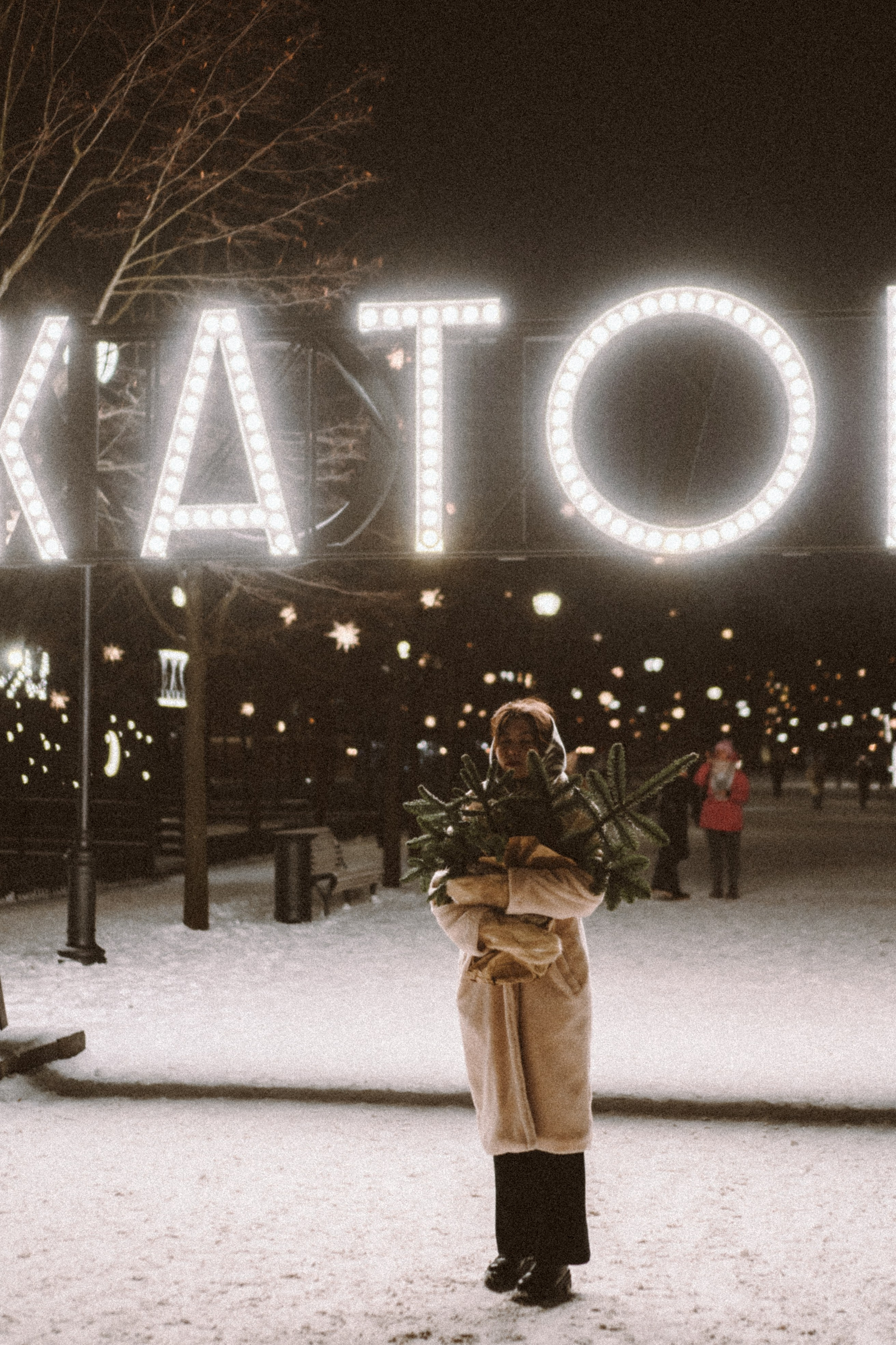 Зимняя сказка в Новой Голандии. Профессиональный фотограф, Санкт-Петербург — Виктория Богомолова