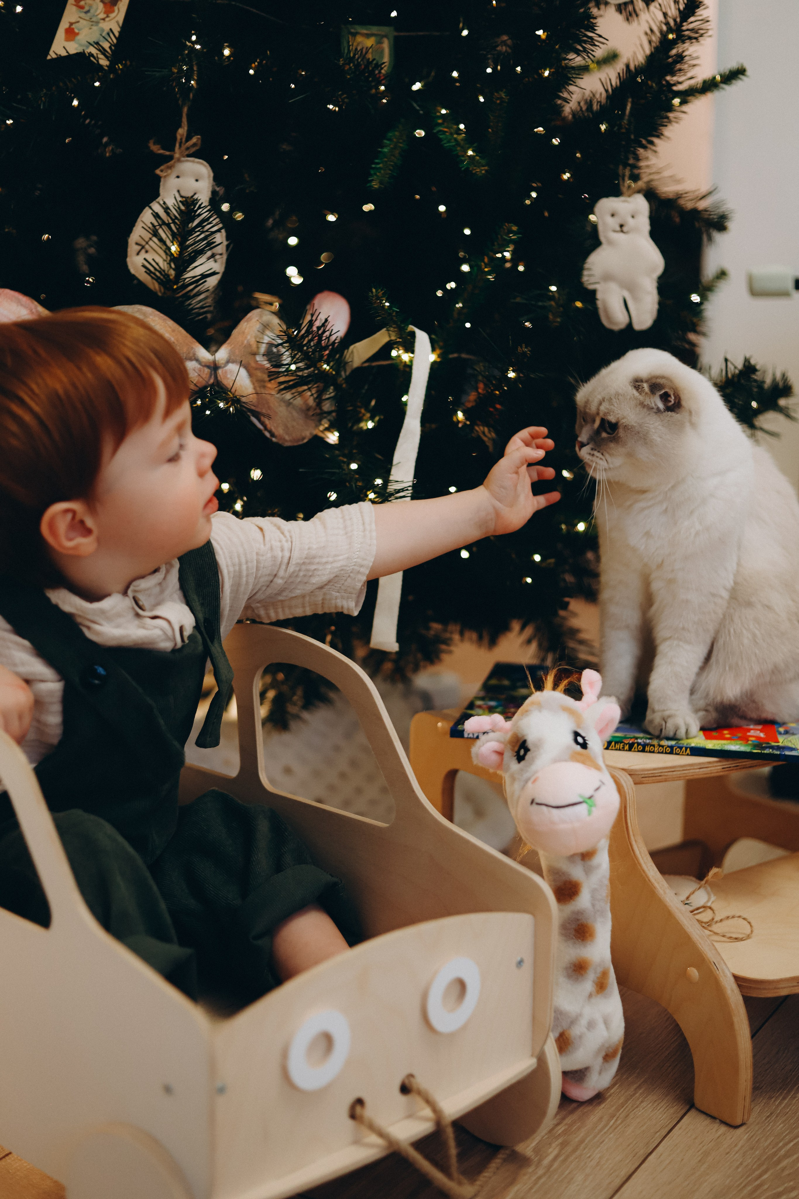 Домашняя новогодняя история. Алексей+Ксения+Дима. Услуги