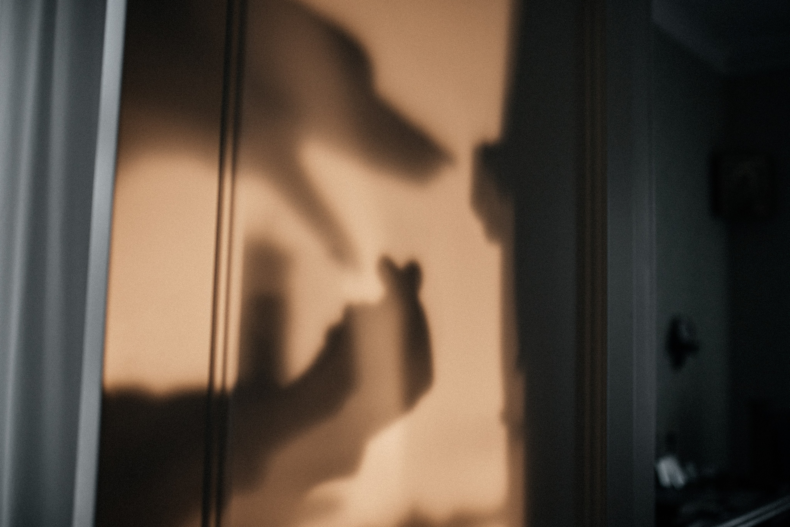 Назар и Вероника. Фотограф в Томске Ирина Павлуцкая